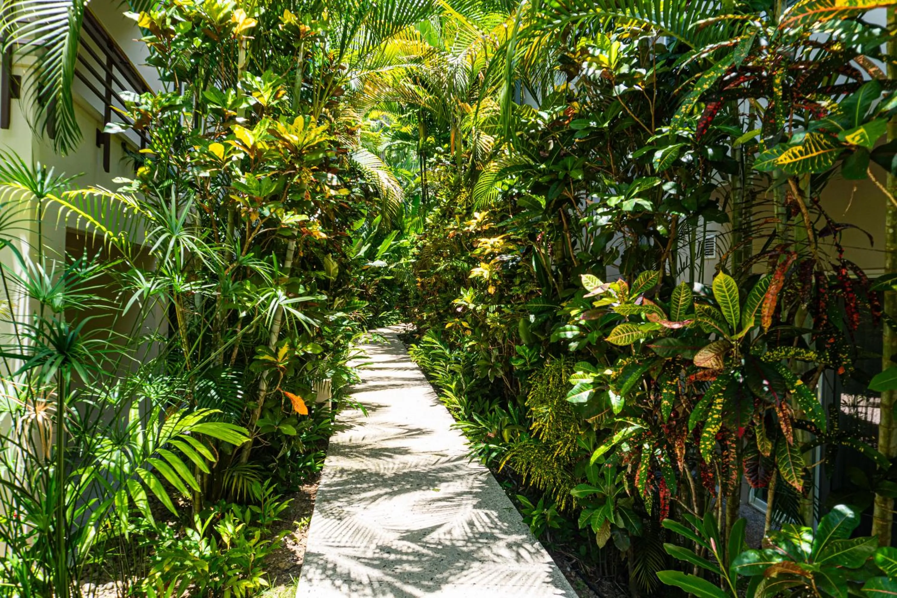 Property building in Elan at Ballena Beach