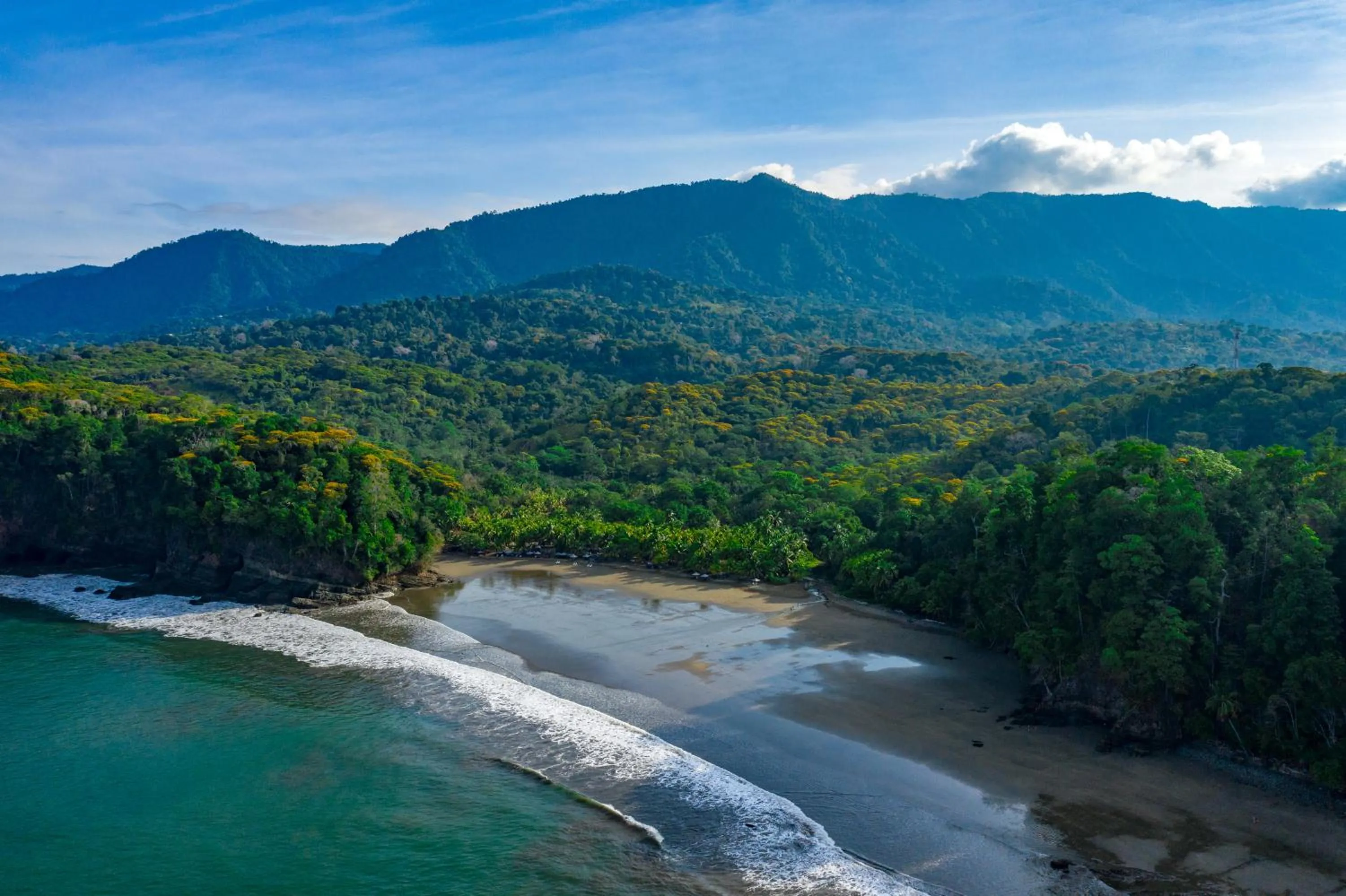 Beach in Elan at Ballena Beach