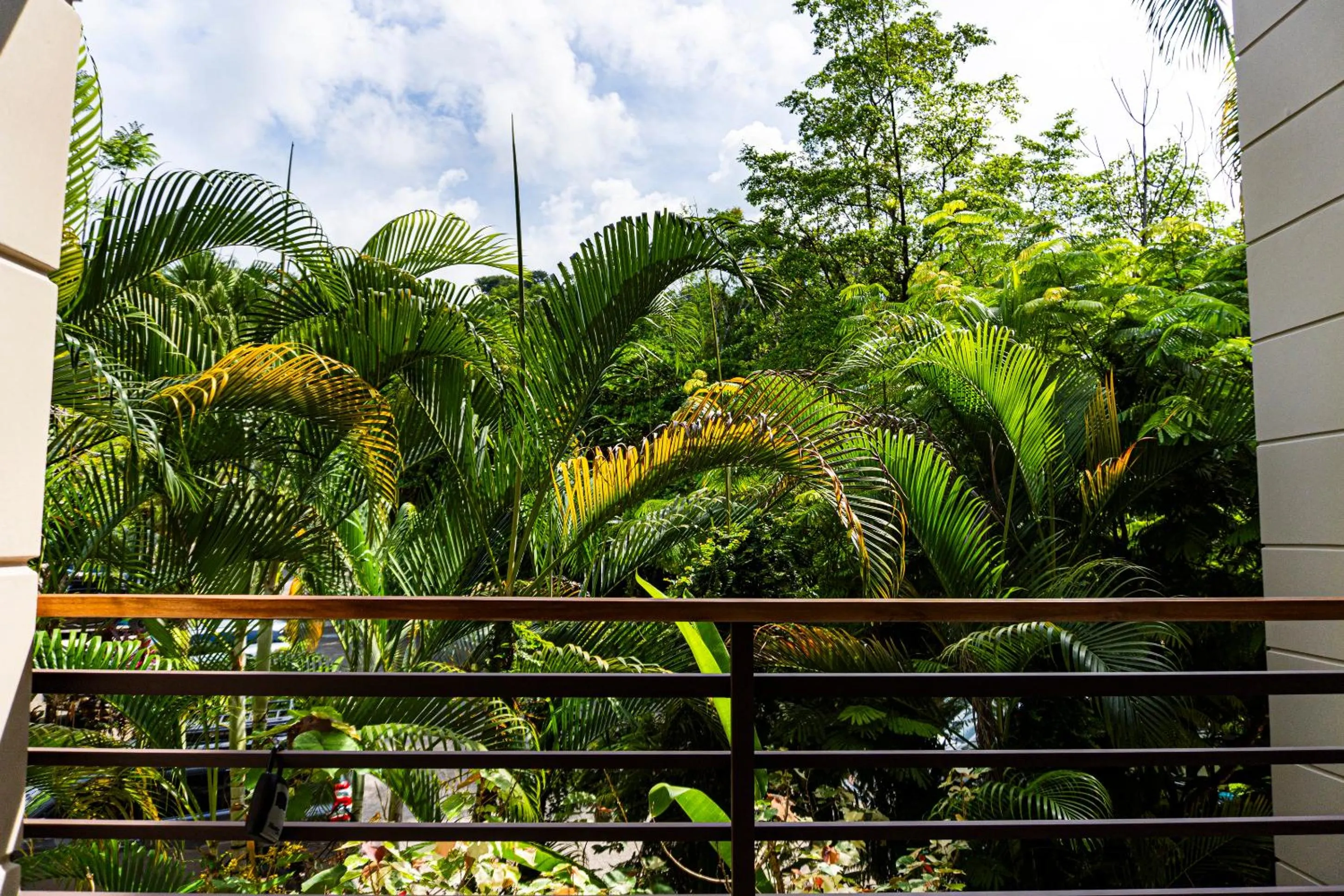 Natural landscape in Elan at Ballena Beach