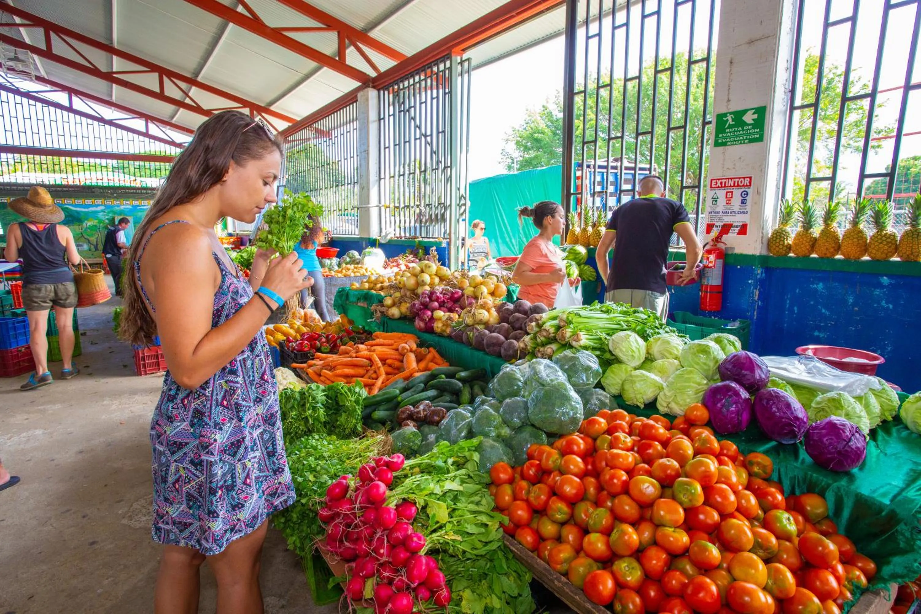 Other in Elan at Ballena Beach