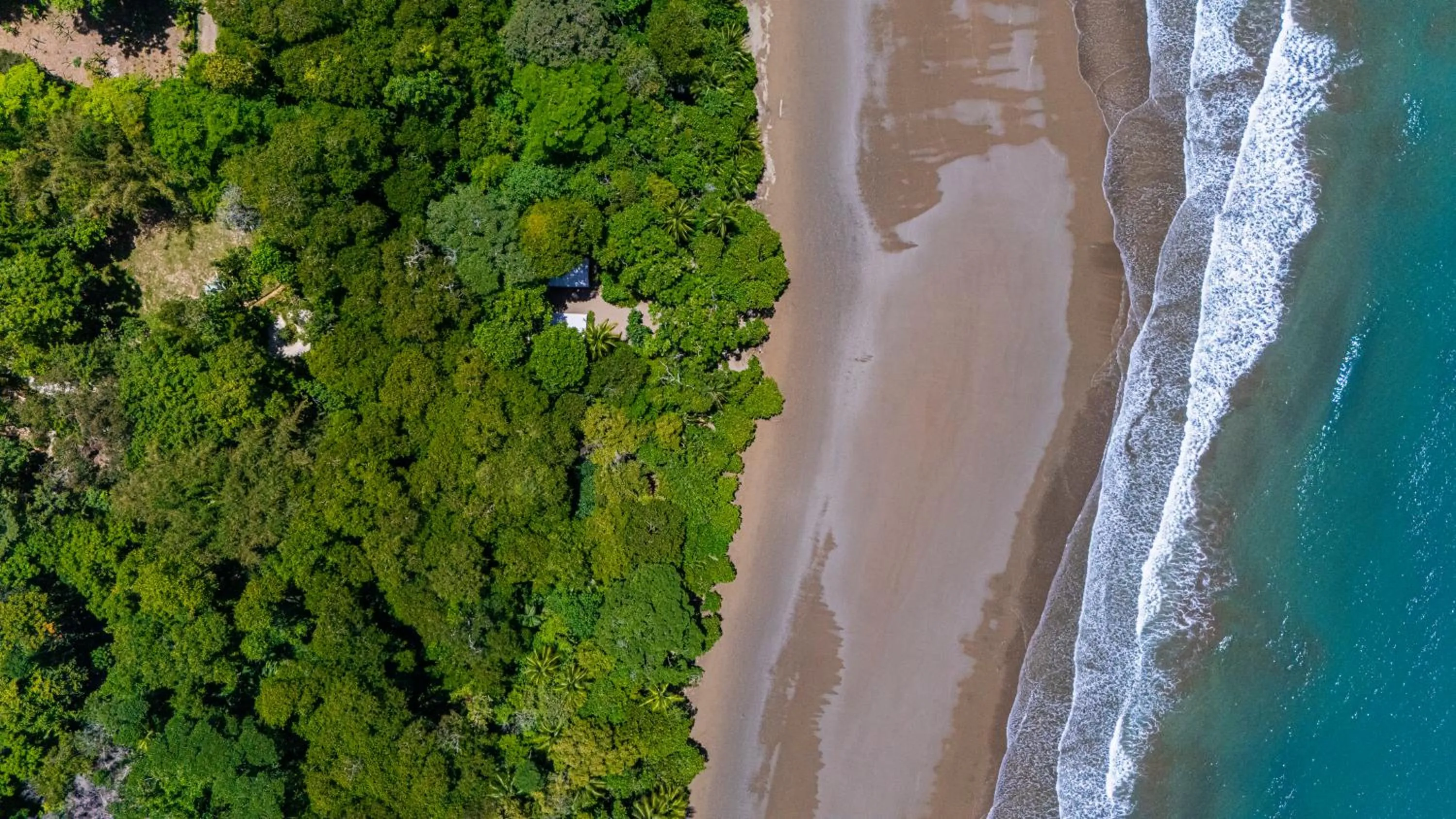 Beach in Elan at Ballena Beach