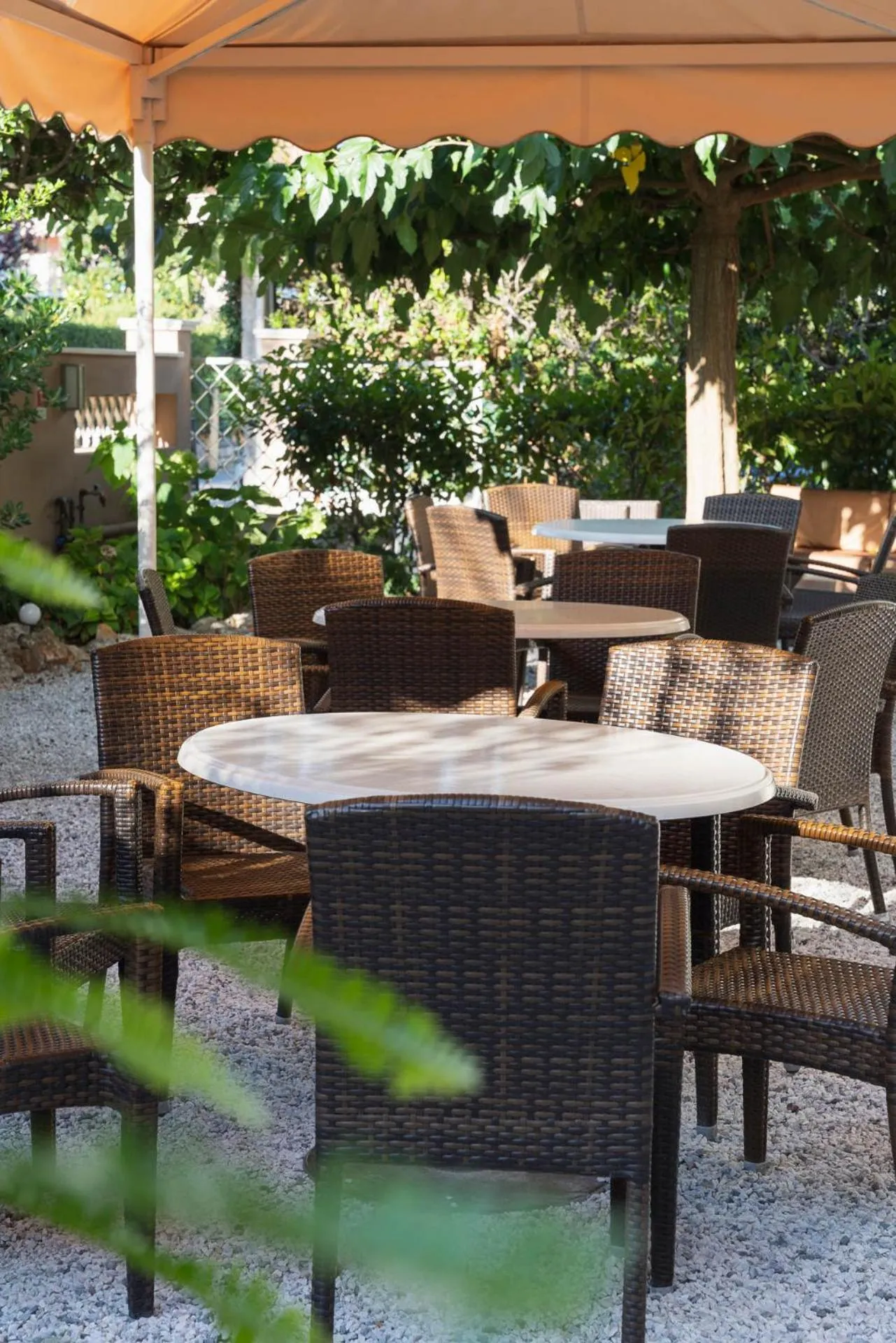 Garden in Hotel Azzurra