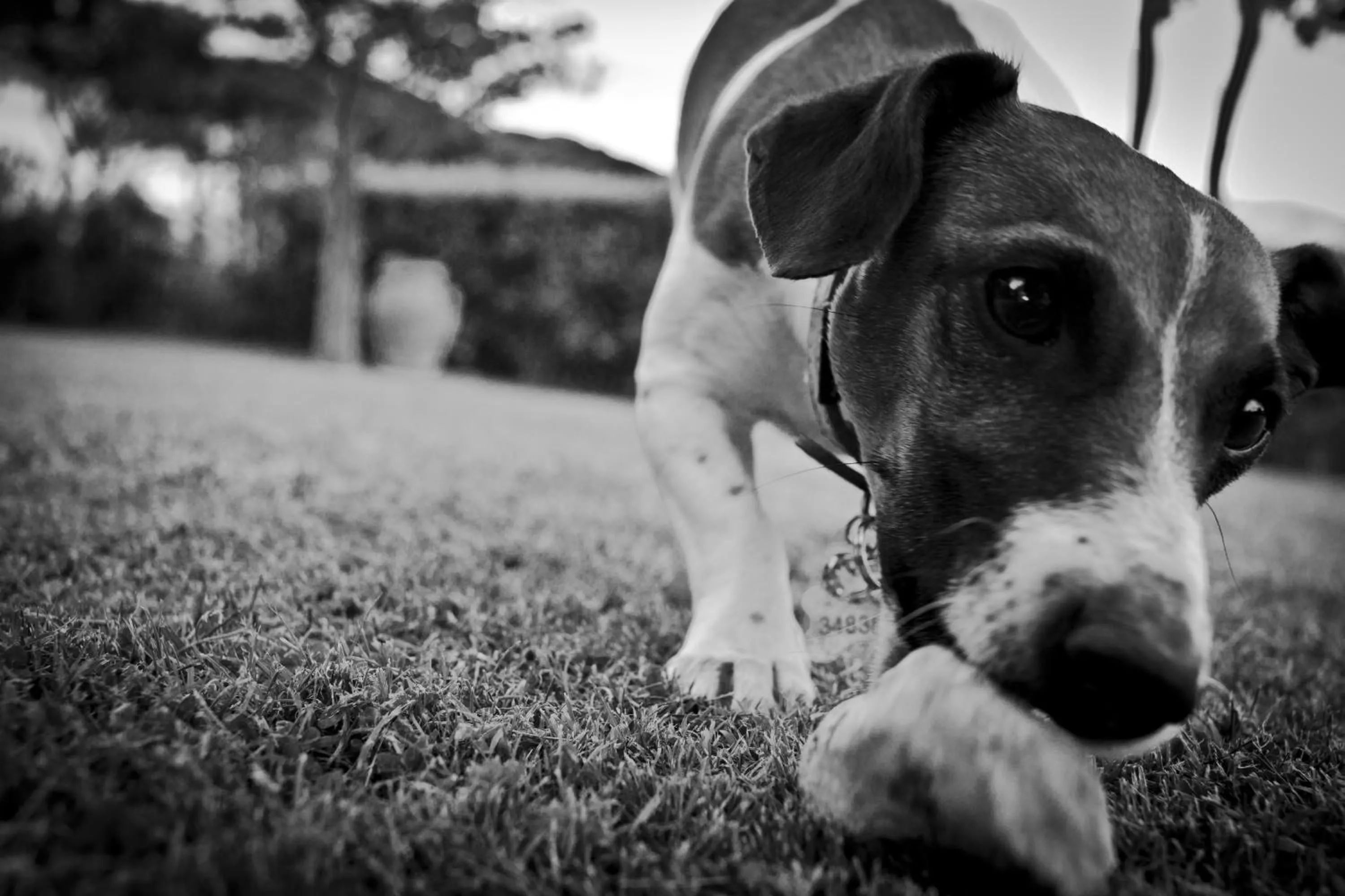 Decorative detail in Relais Villa Al Vento