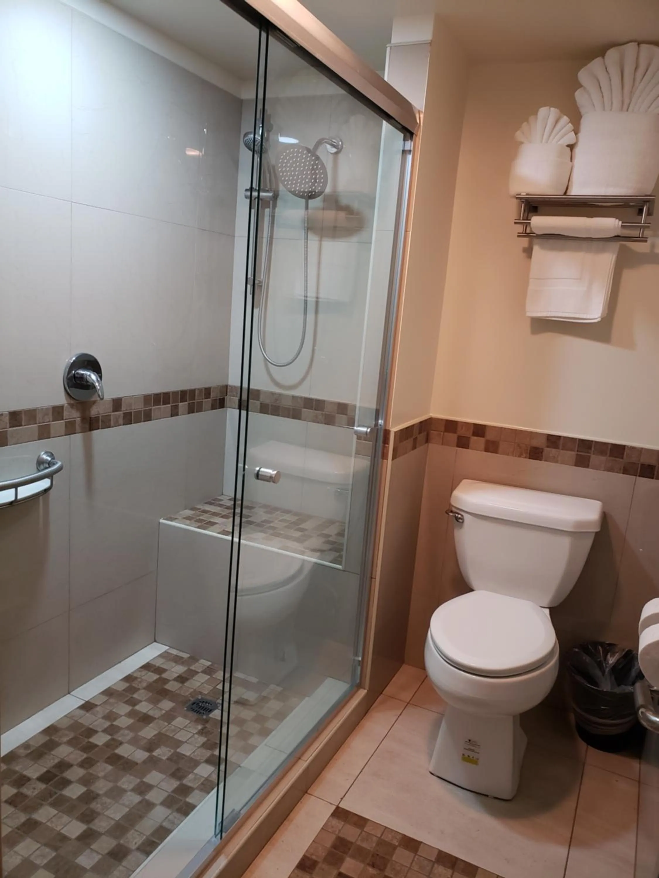 Toilet in La Villa de Zaragoza