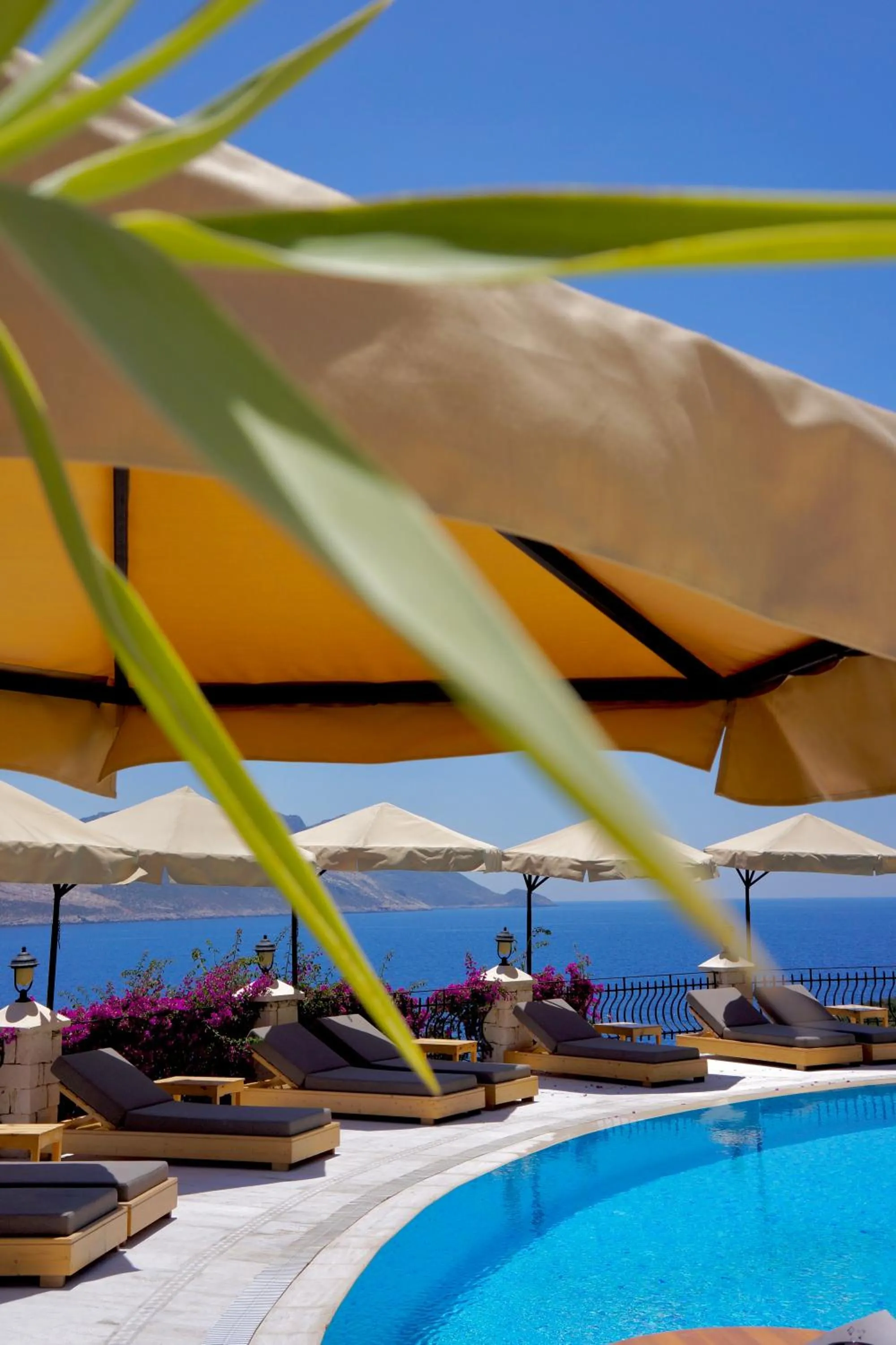 View (from property/room) in Villa Hotel Tamara