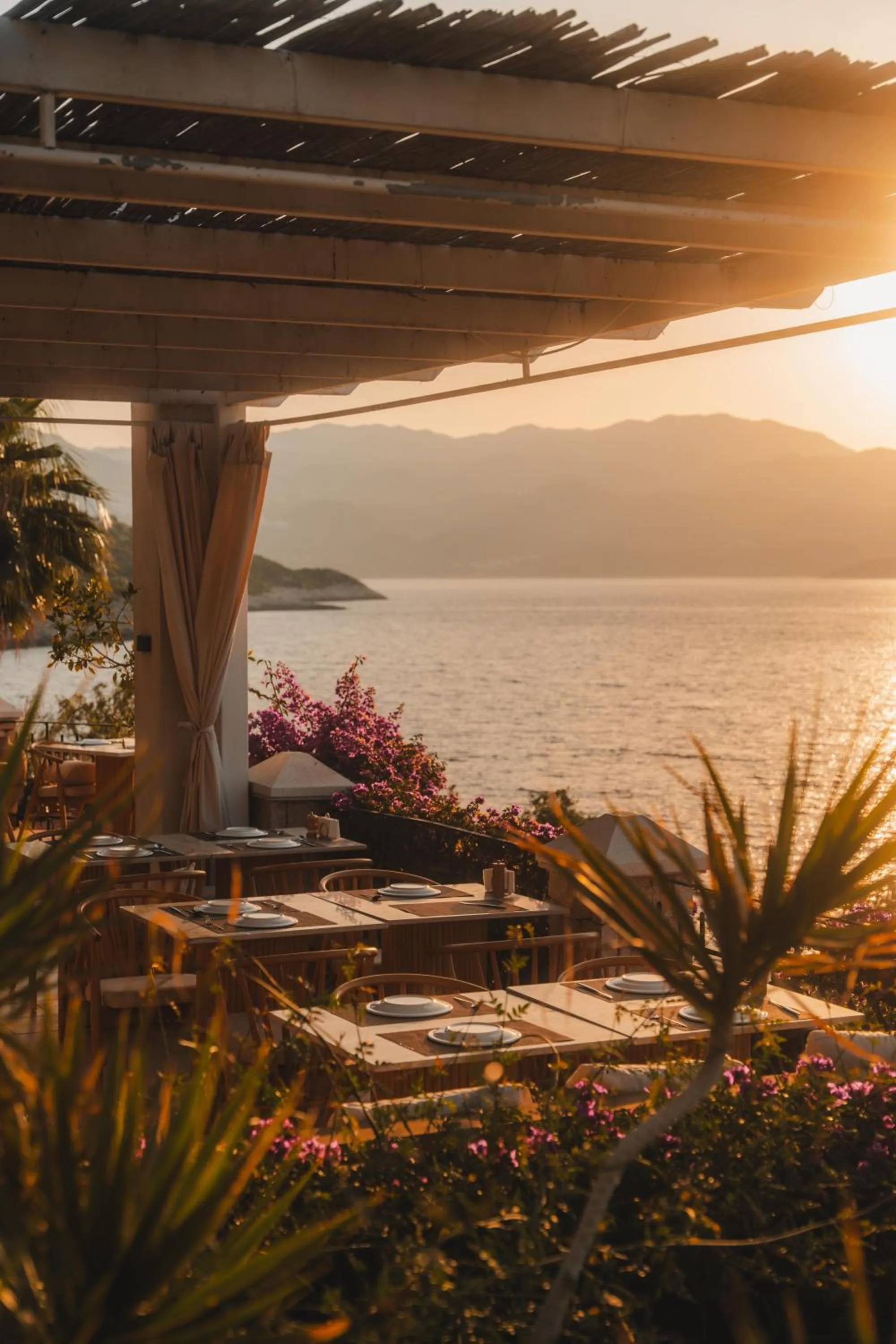 Restaurant/places to eat in Villa Hotel Tamara