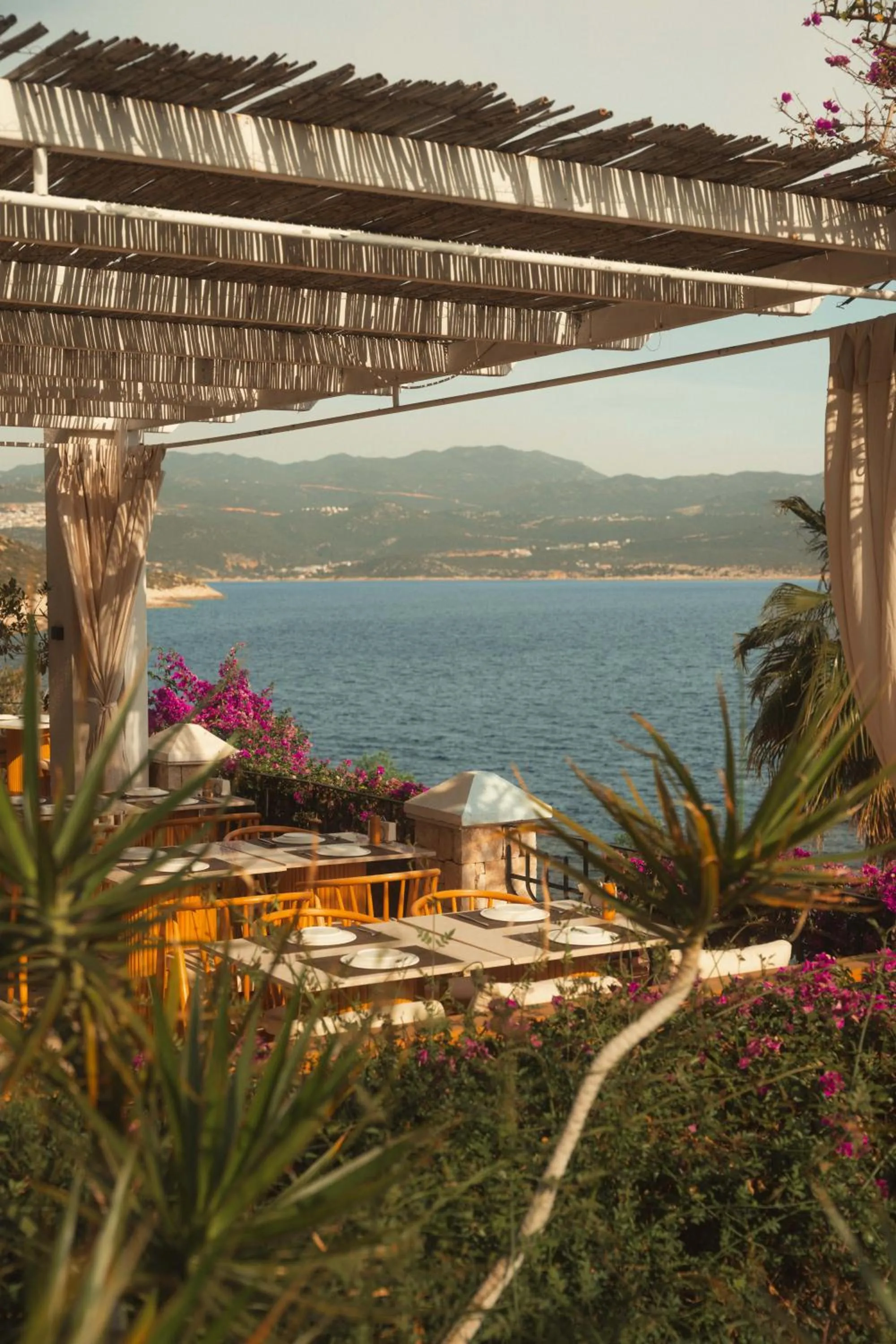 Restaurant/places to eat in Villa Hotel Tamara