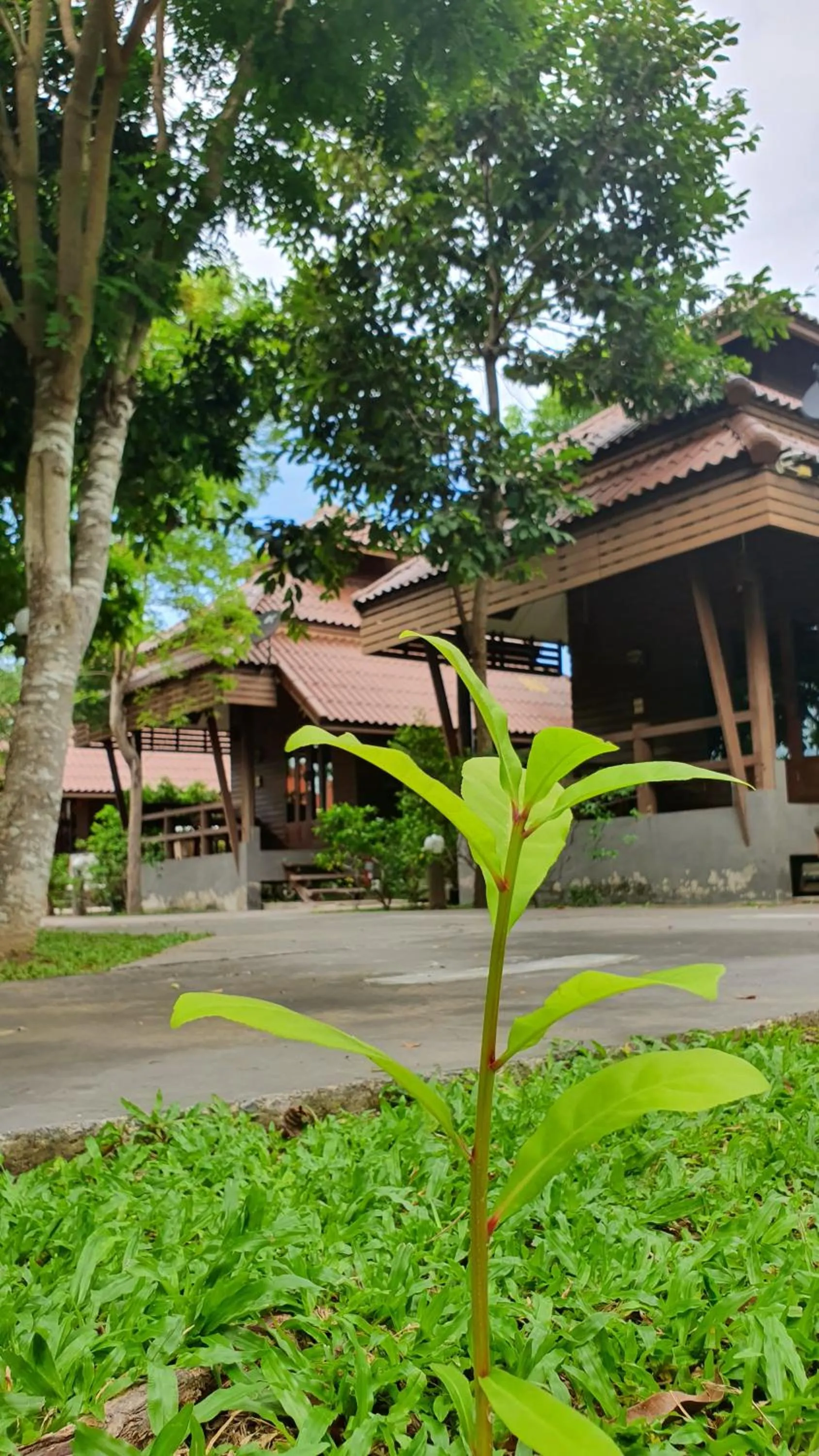 Facade/entrance in Pruksa Resort Prachuabkhirikhan