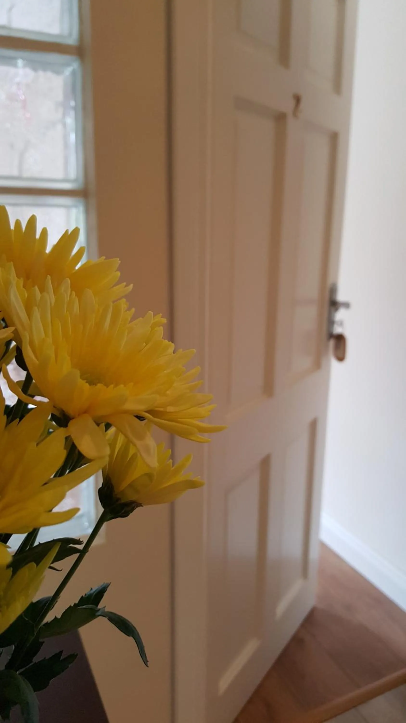 Property building in An Charraig Ban on the wild Atlantic way F94WT02