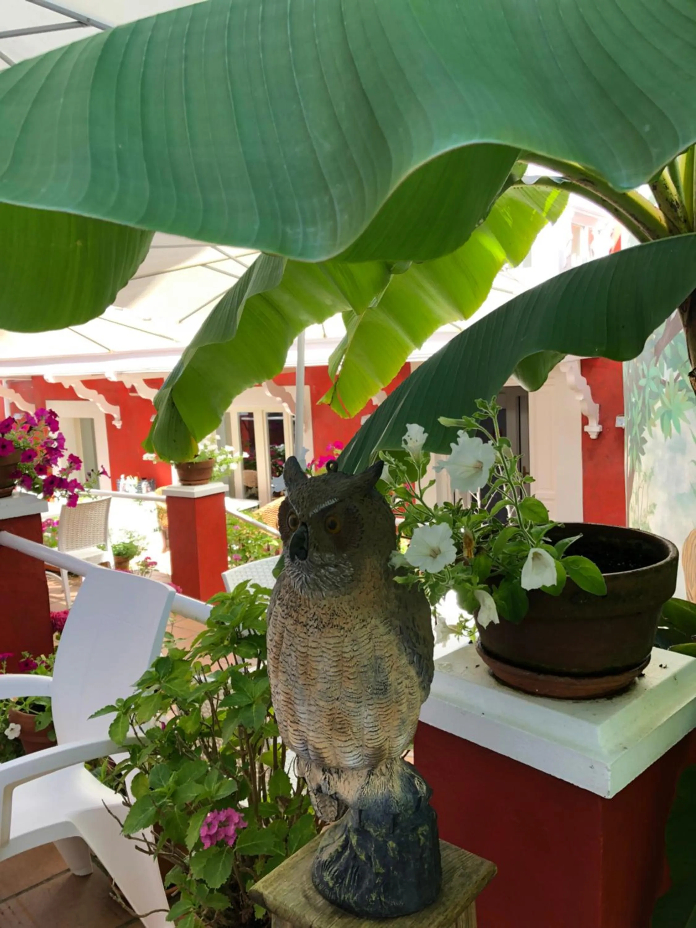 Garden in Marina de Campios