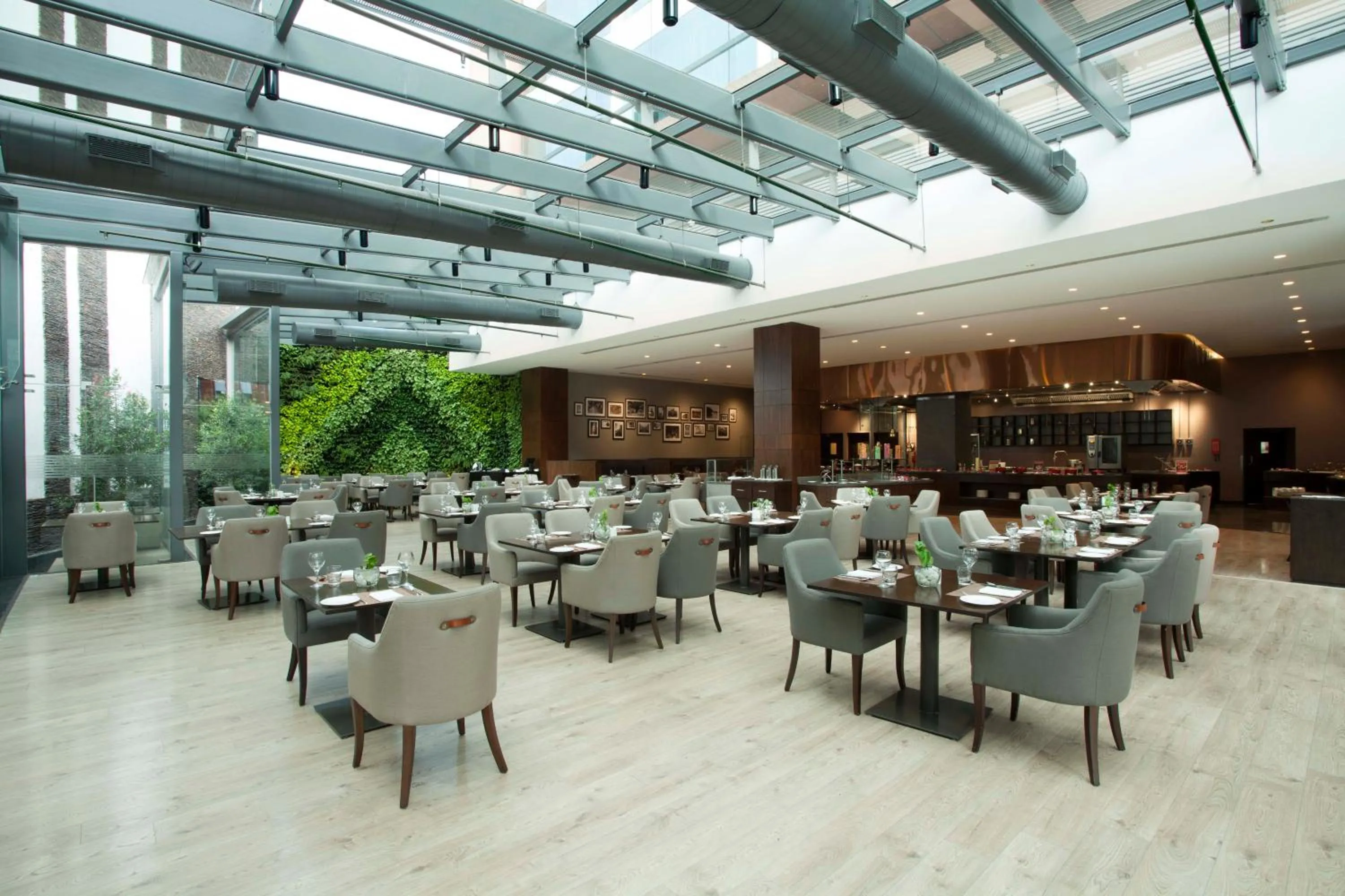 Restaurant/places to eat in The Oterra