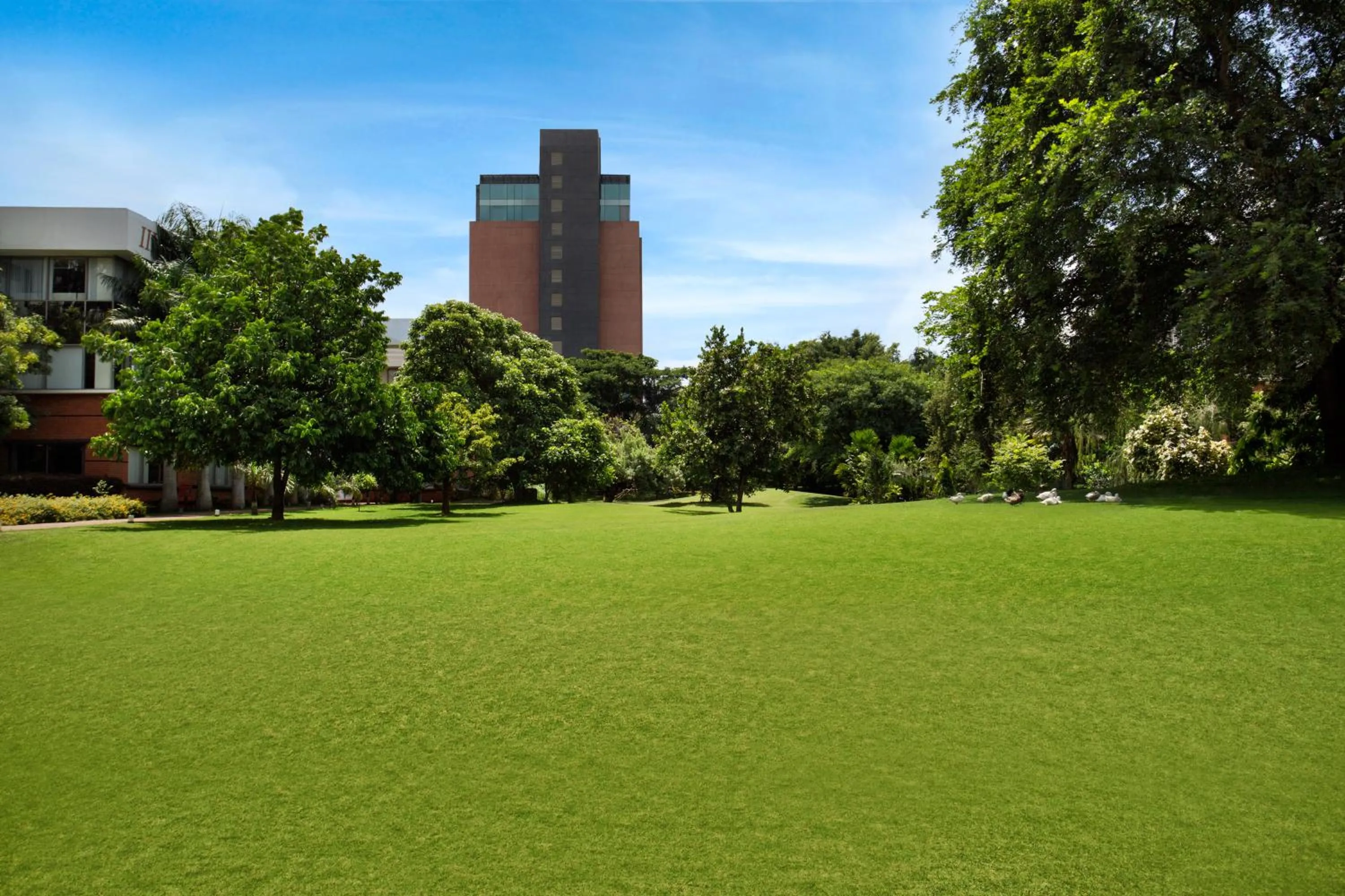 Garden in The Oterra