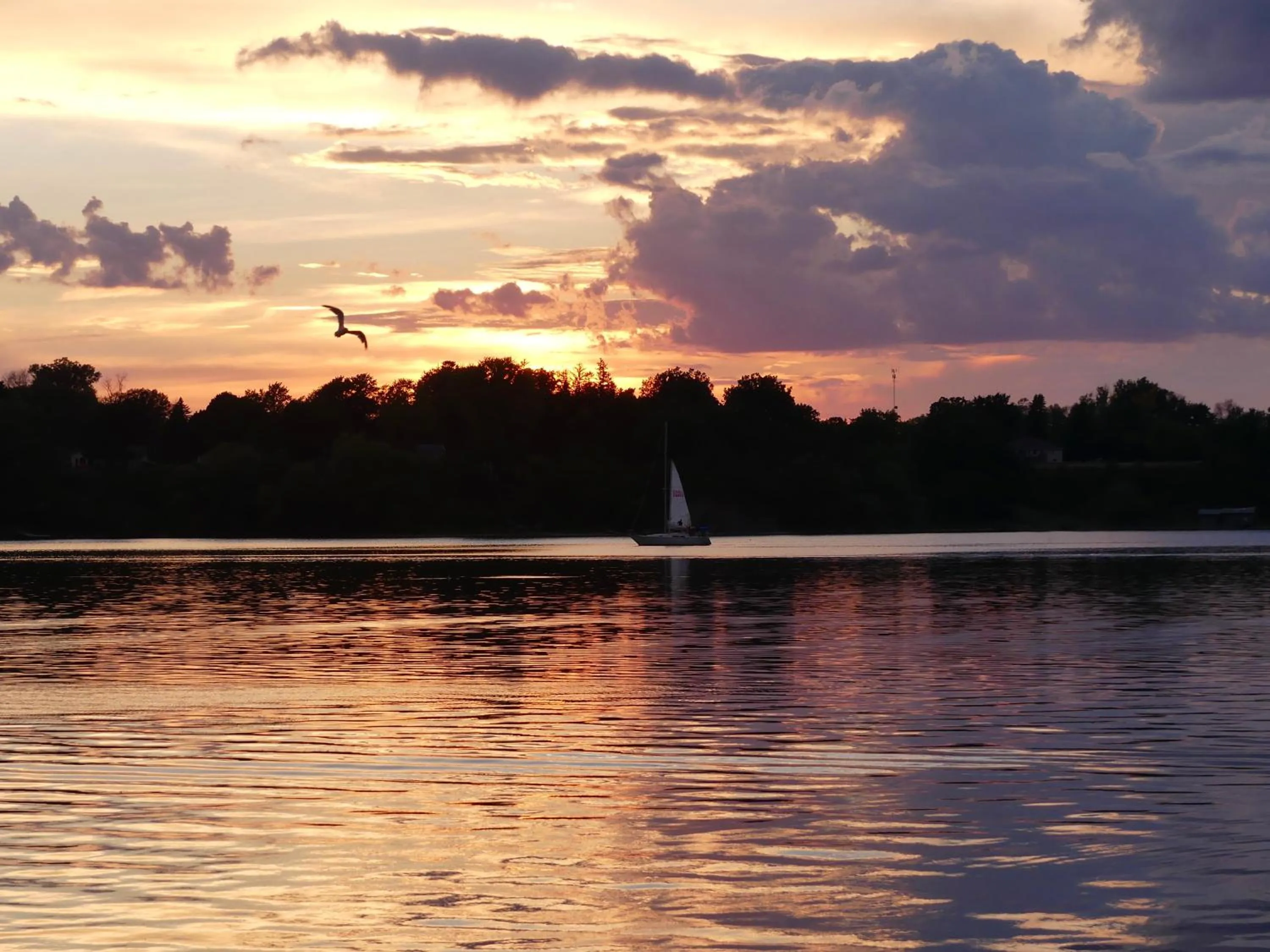 Lake view in Merland Park Cottages and Motel