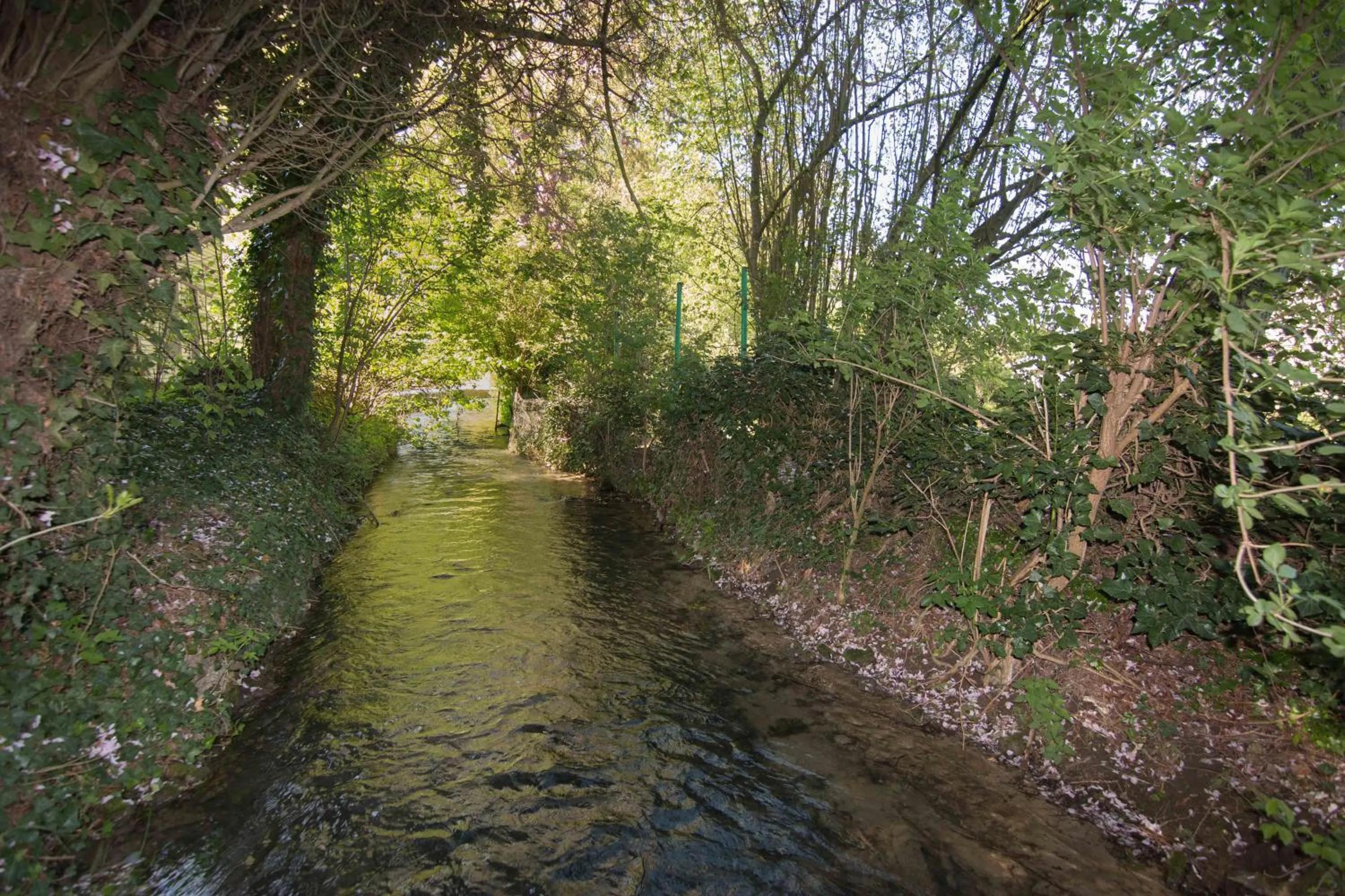 River view in La Pomme Pétillante
