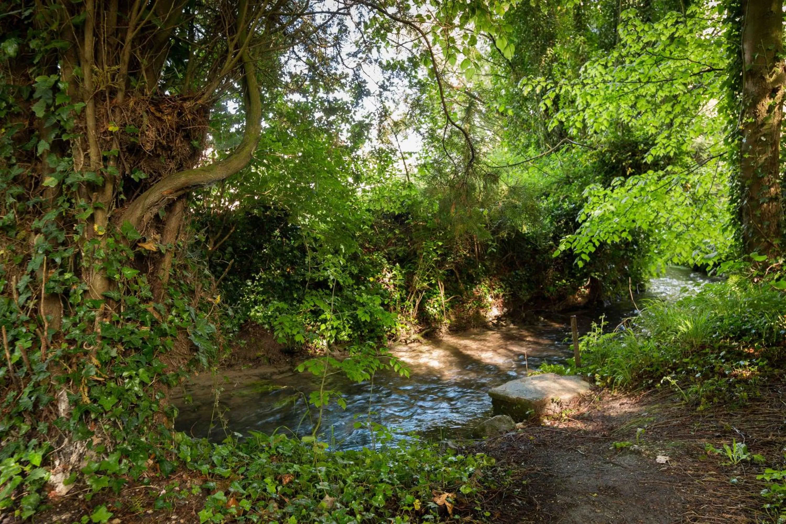 River view in La Pomme Pétillante