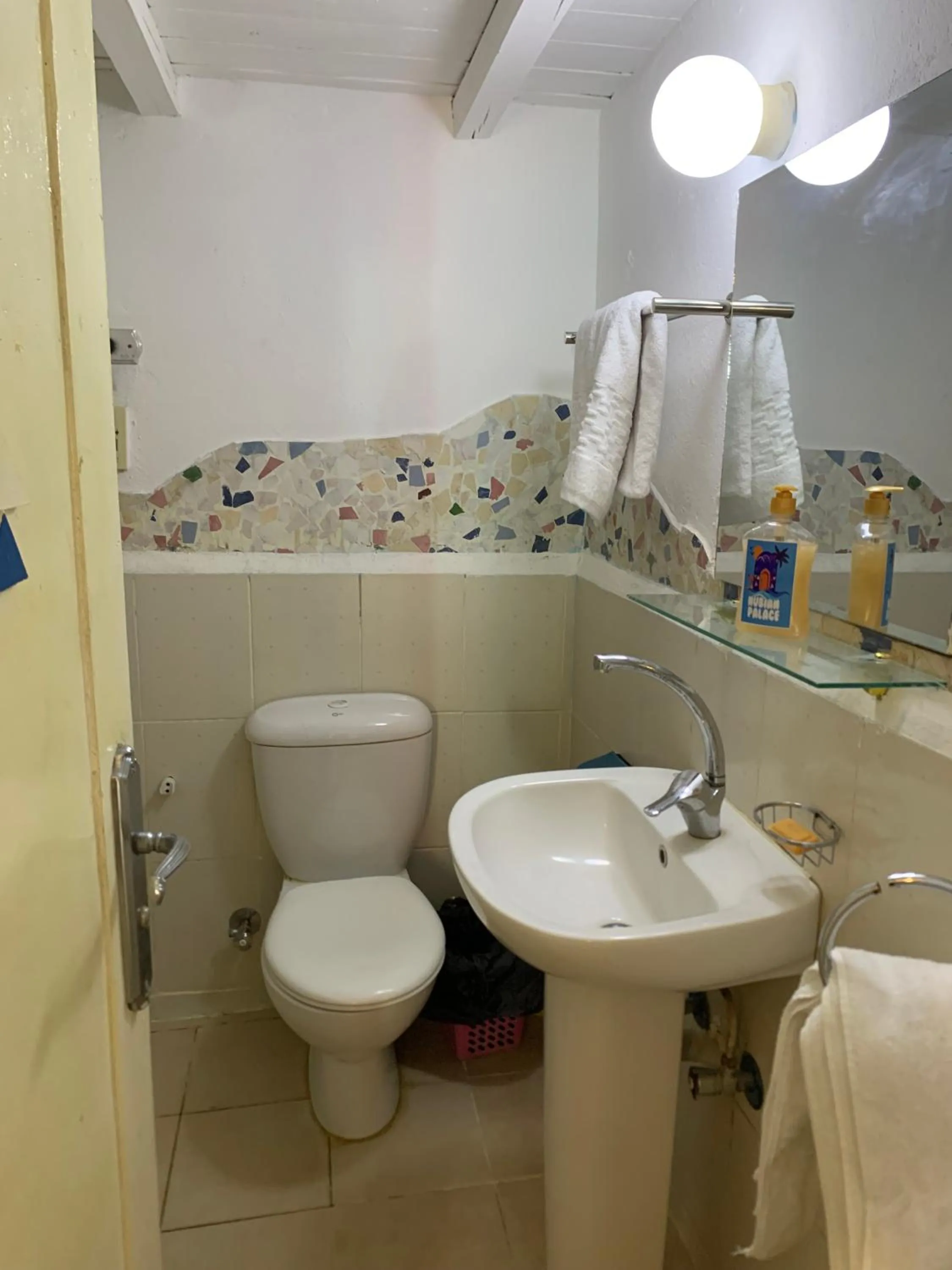 Nubian Palace Eco Lodge - A Nubian Home Since 1959