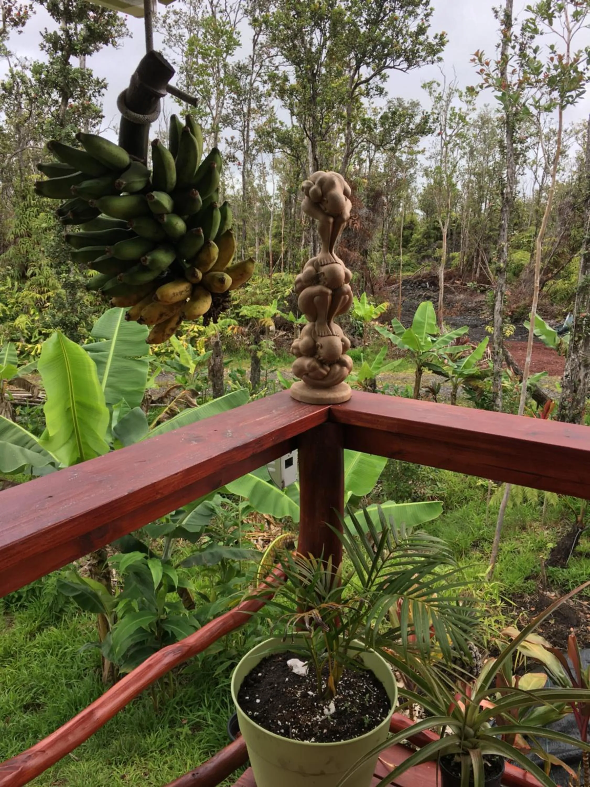 Patio in Volcano Eco Cabin & Eco Lodge