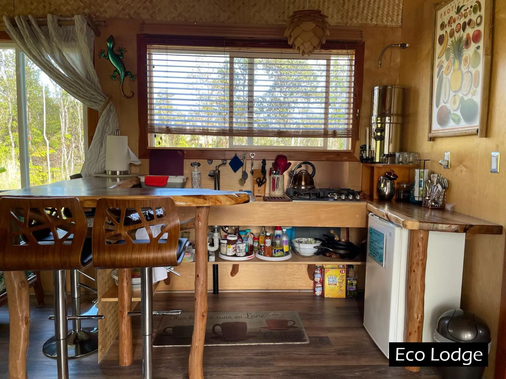 Kitchen or kitchenette in Volcano Eco Cabin & Eco Lodge