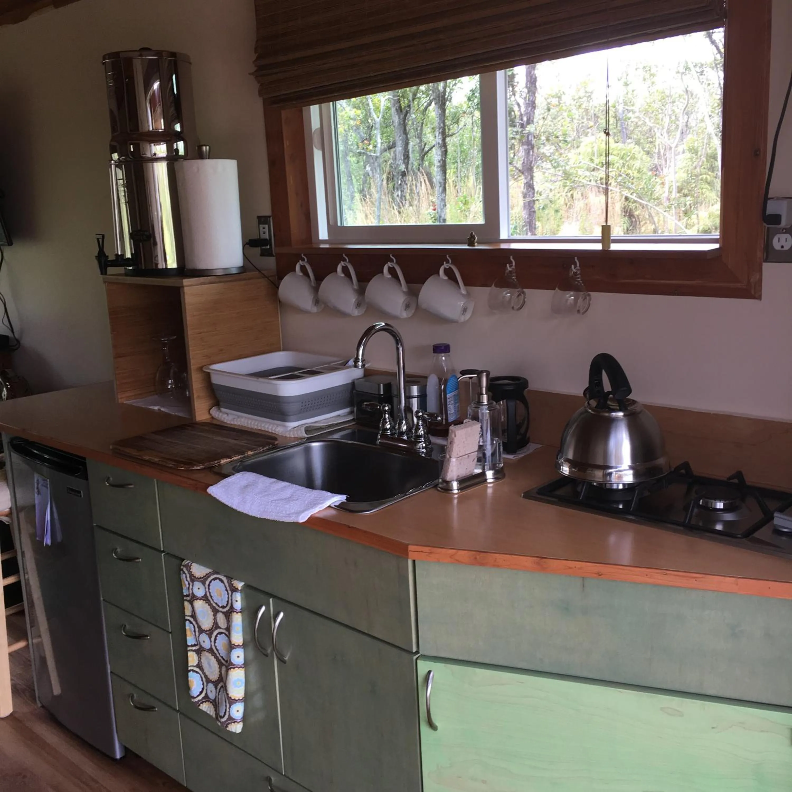 Kitchen or kitchenette in Volcano Eco Cabin & Eco Lodge