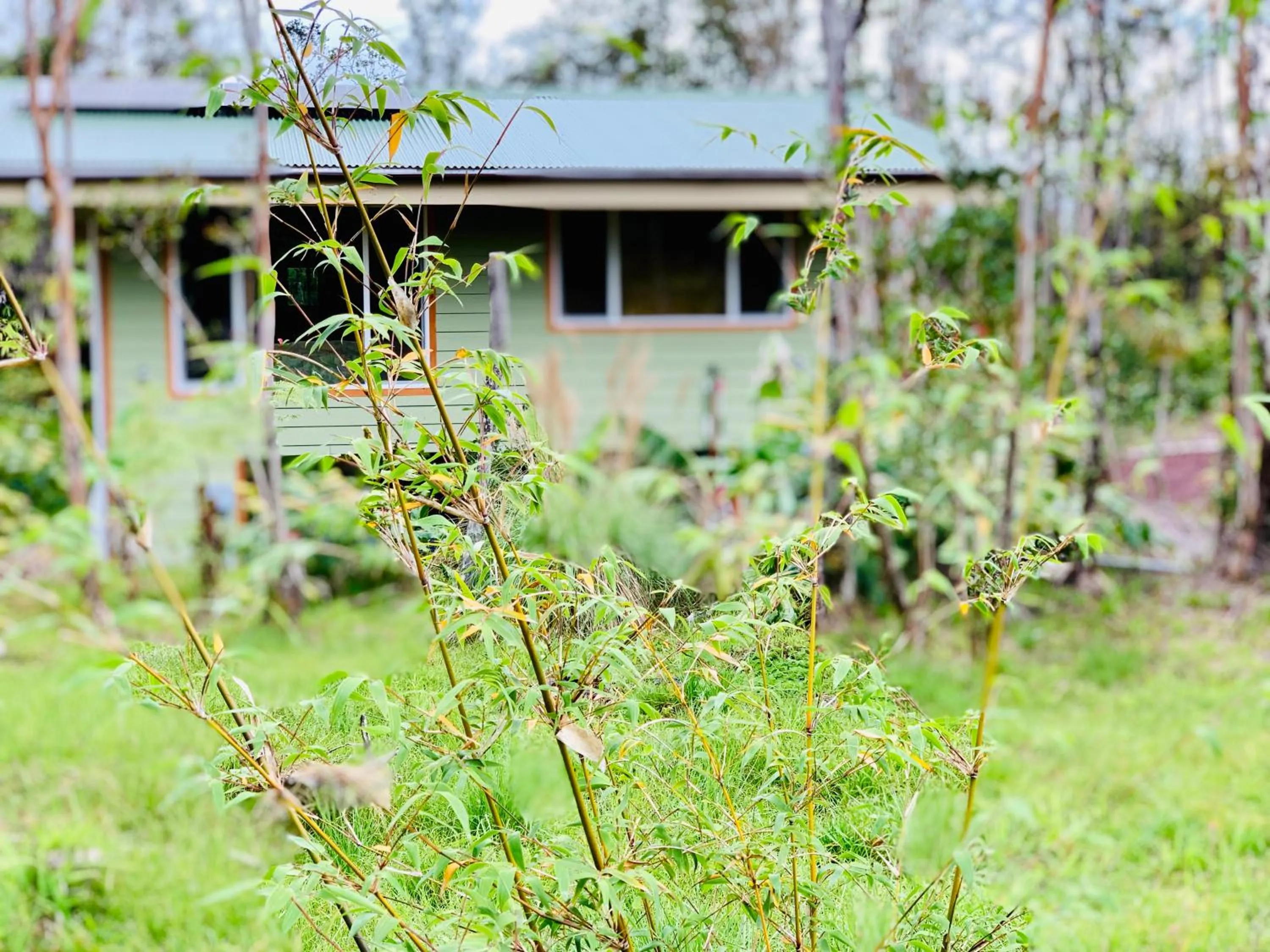 Property building in Volcano Eco Cabin & Eco Lodge