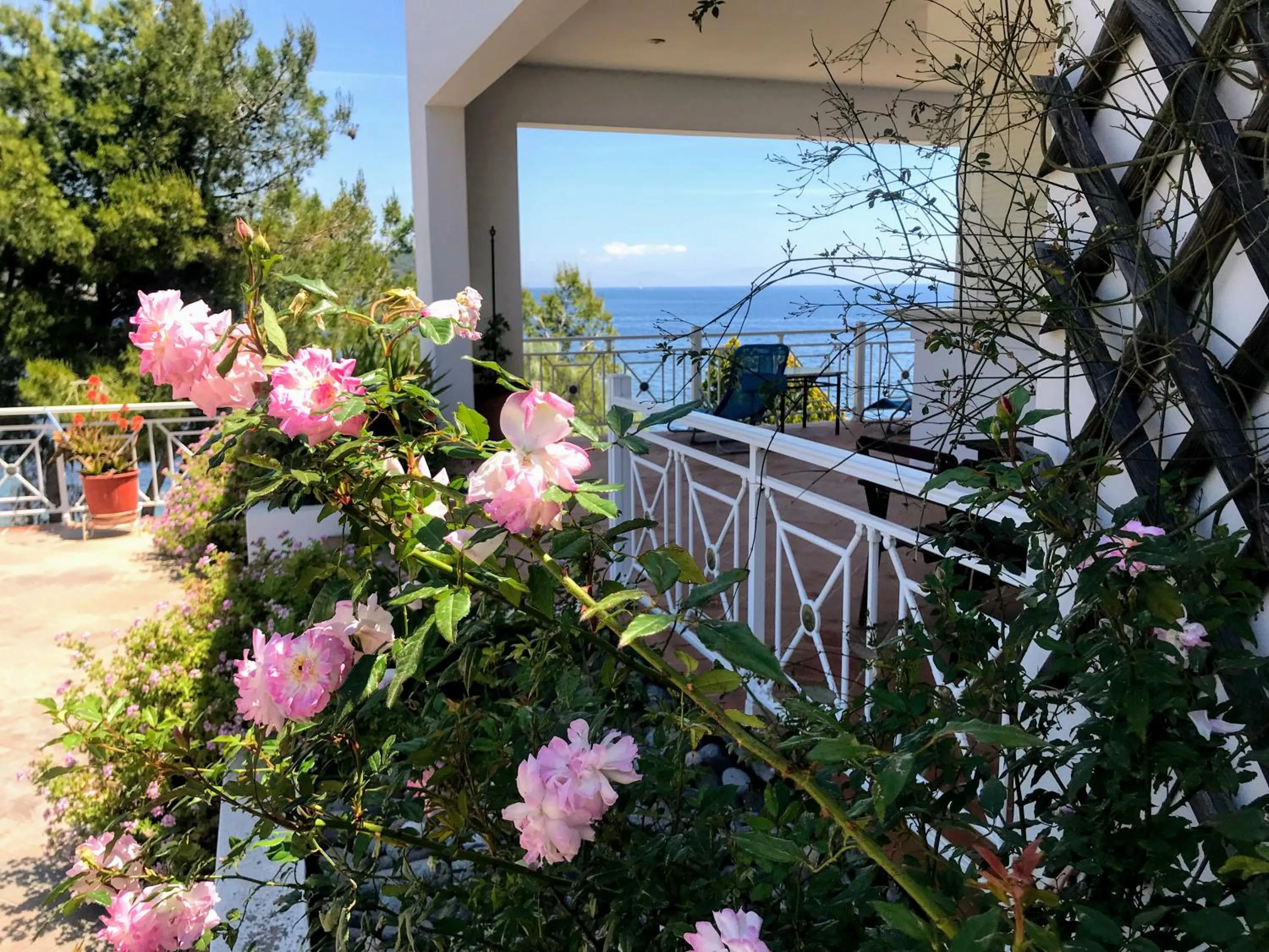 Patio in Oneiro glico
