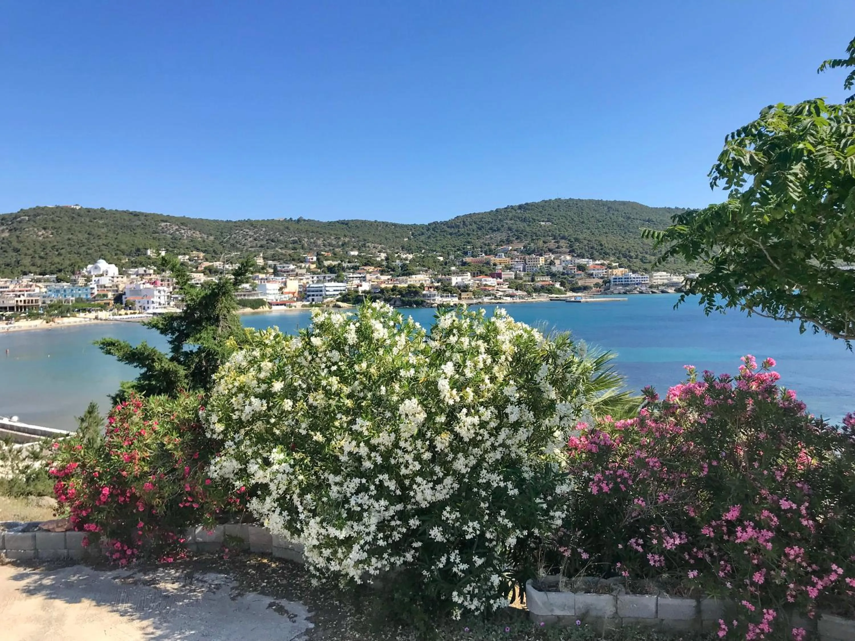 Garden in Oneiro glico