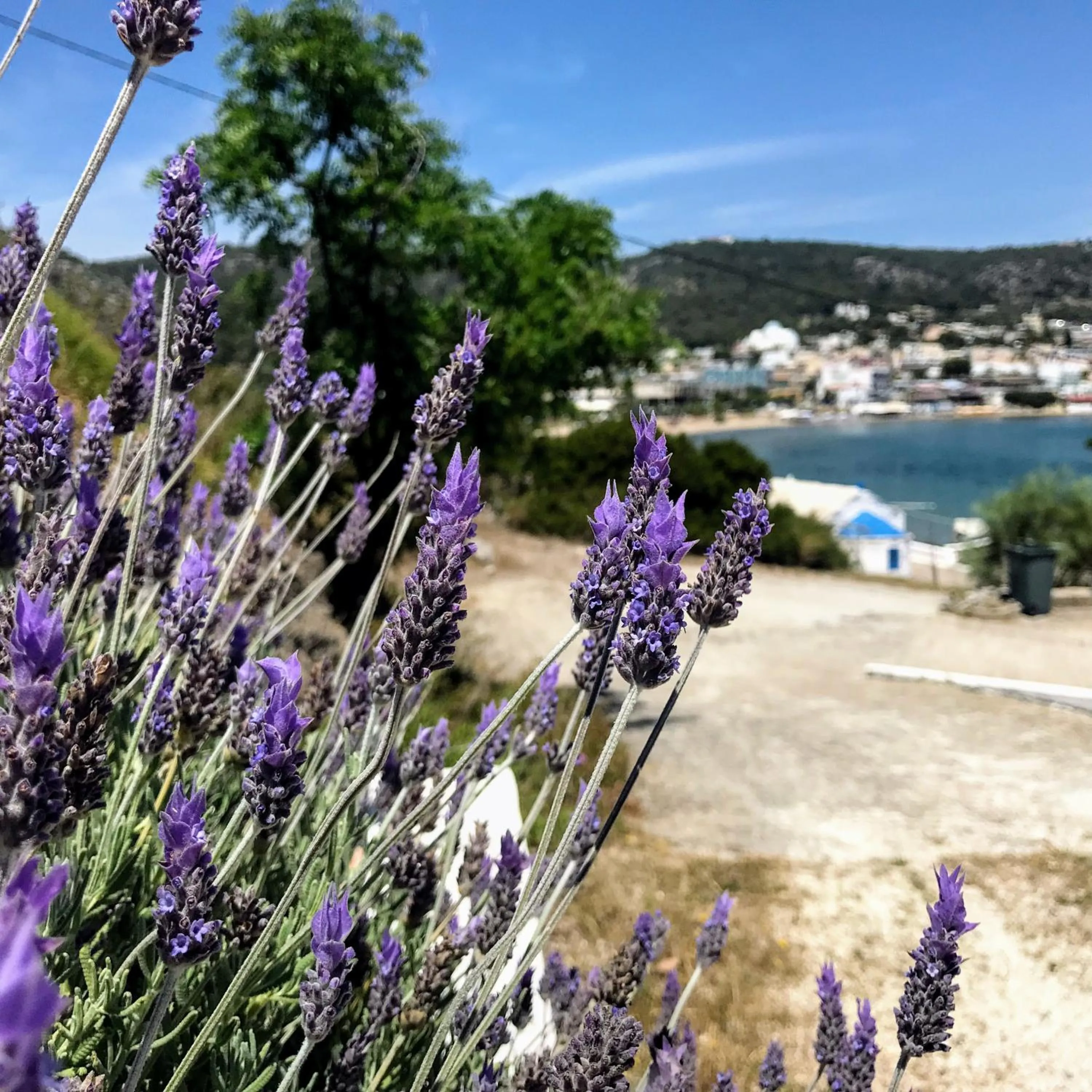 Spring in Oneiro glico