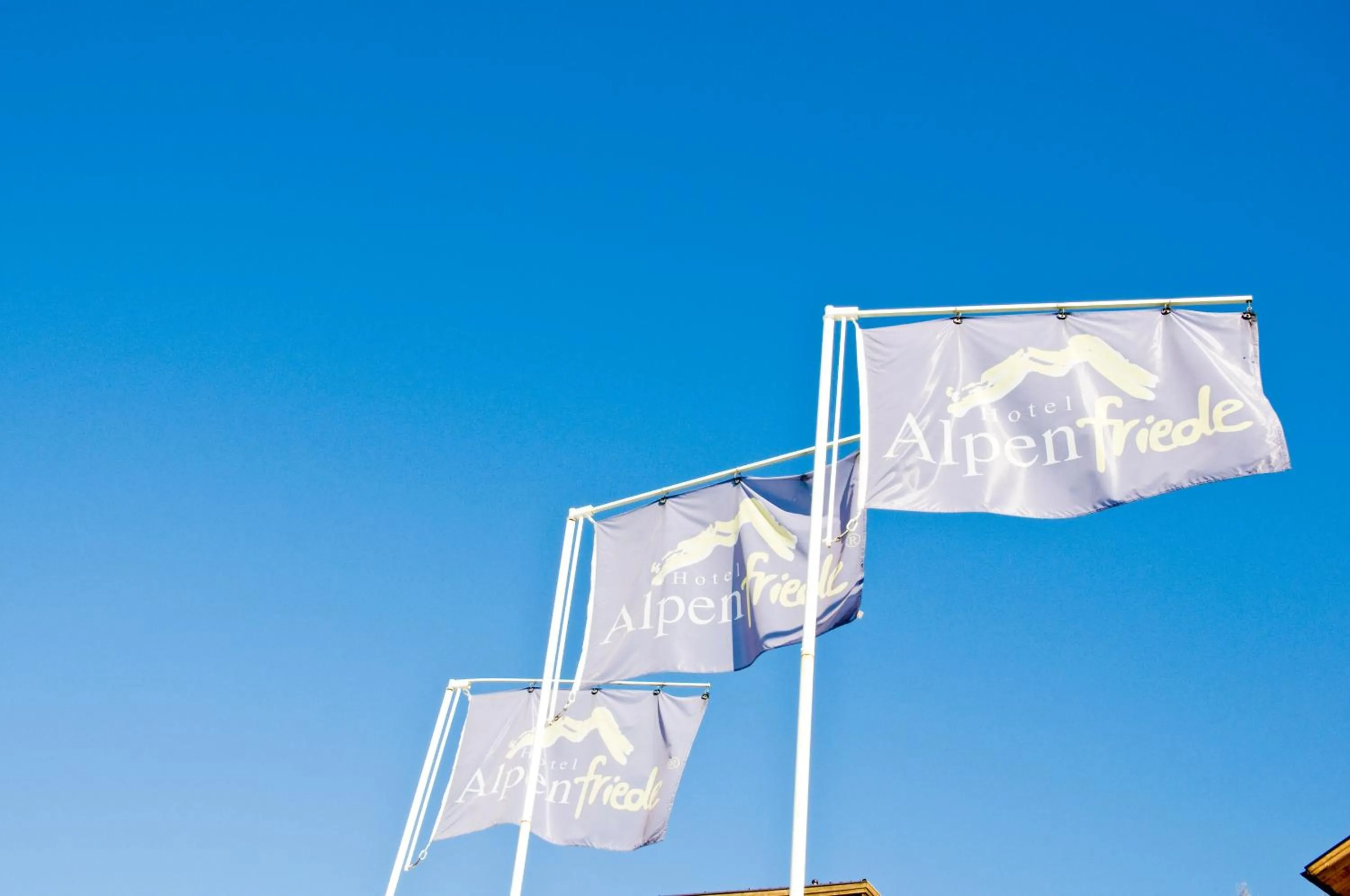 Other in Hotel Alpenfriede