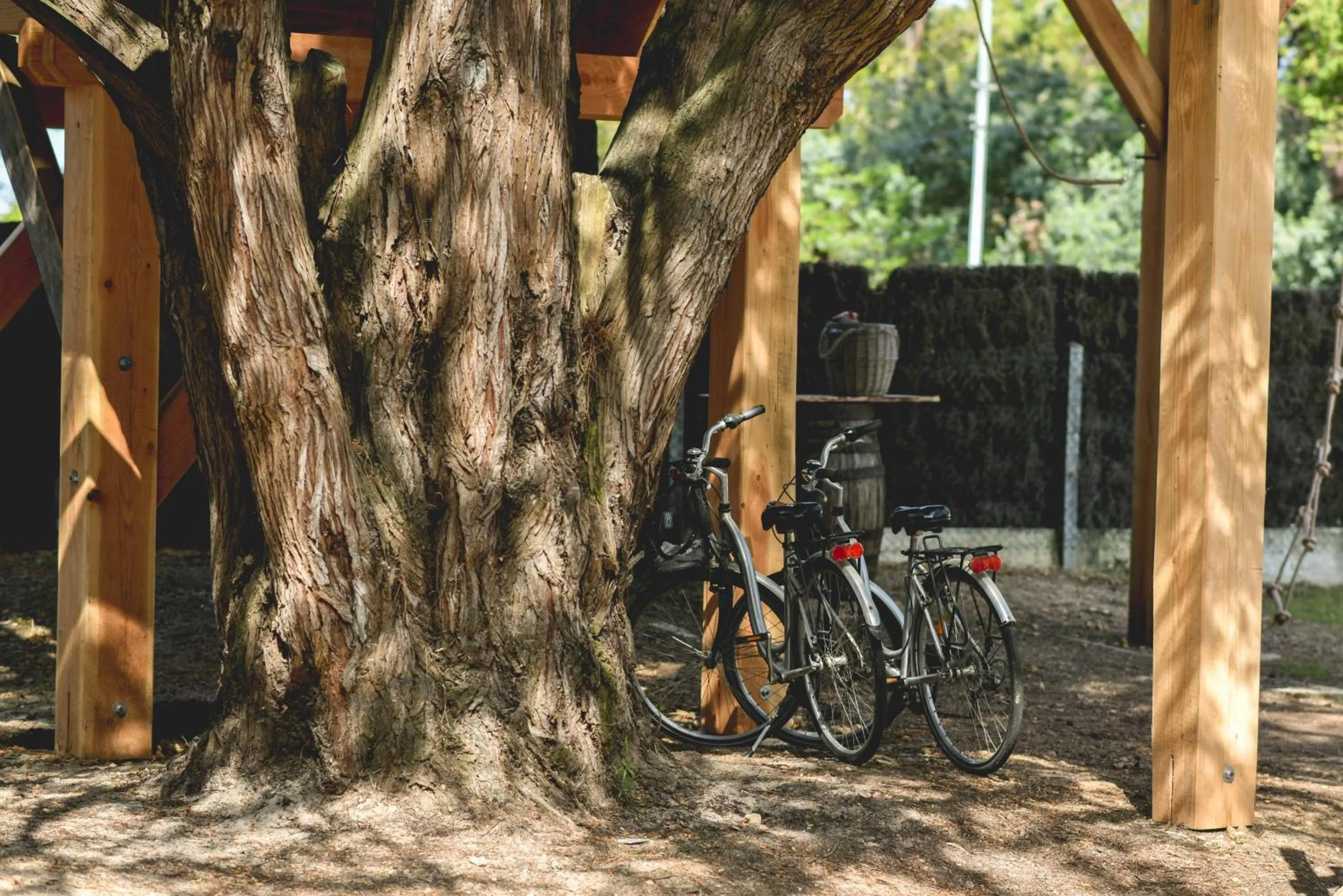 Cycling in Logis Hôtel Emeraude des Bois