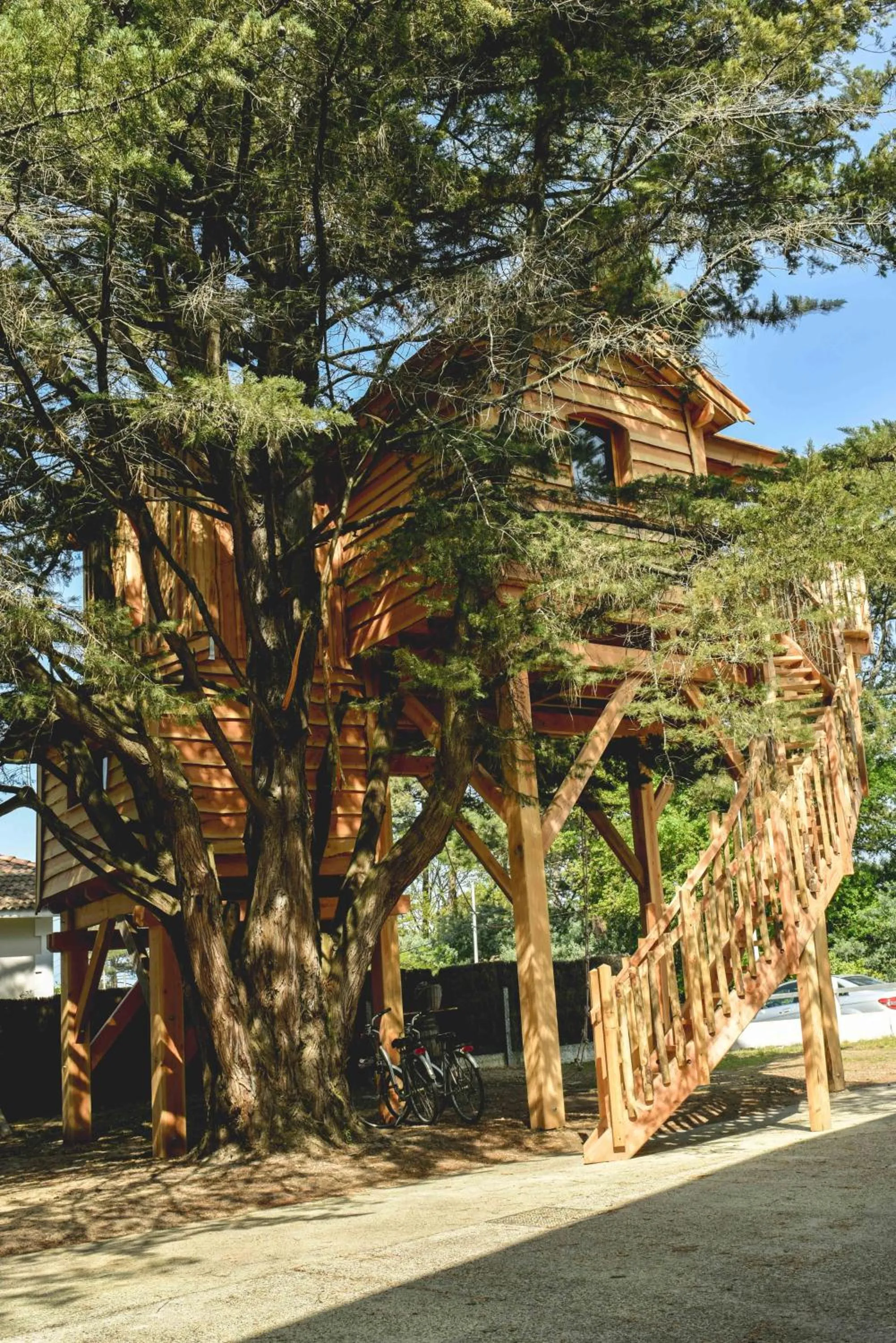 Garden in Logis Hôtel Emeraude des Bois