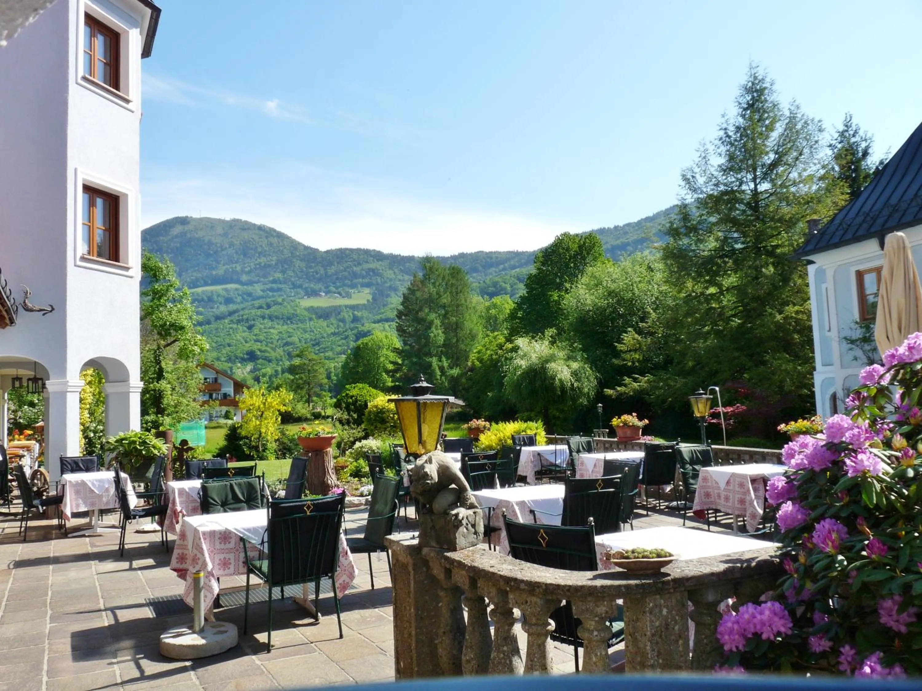 Balcony/Terrace in Gasthof Hotel Doktorwirt