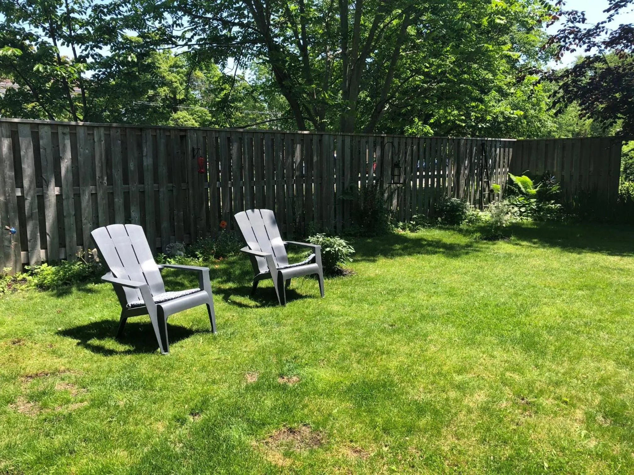 Garden in The Stella Rose B&B