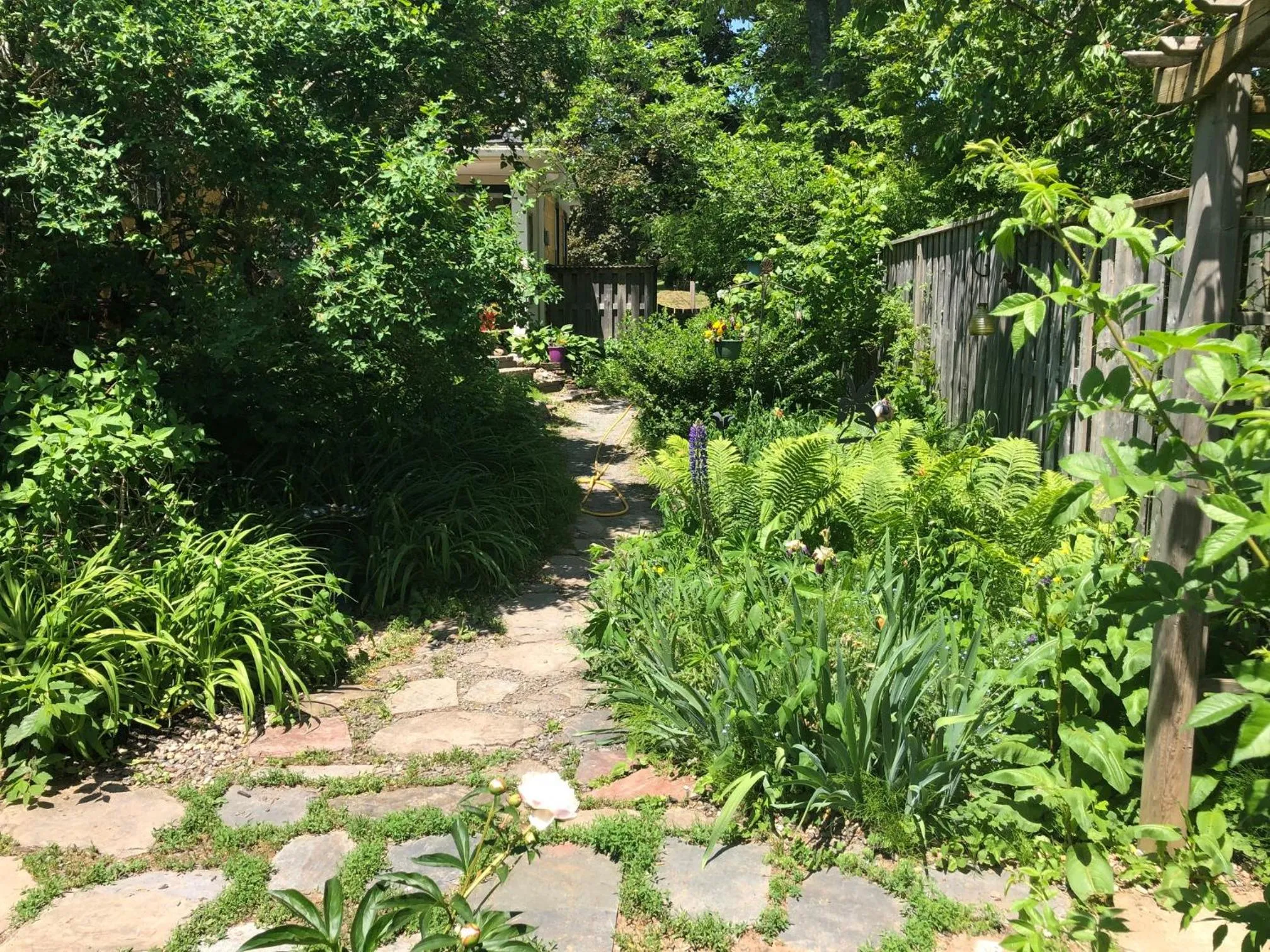 Garden in The Stella Rose B&B