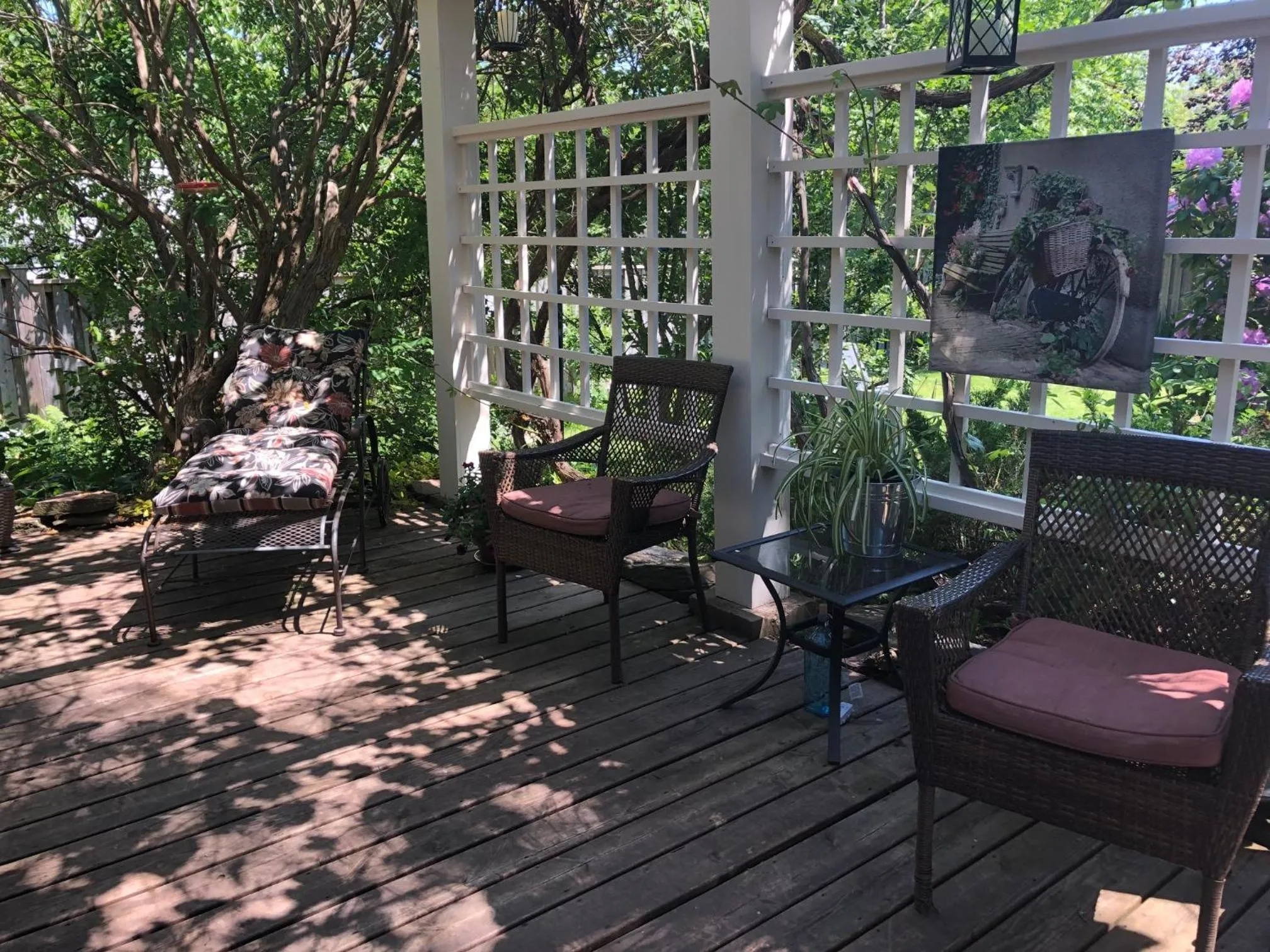 Balcony/Terrace in The Stella Rose B&B
