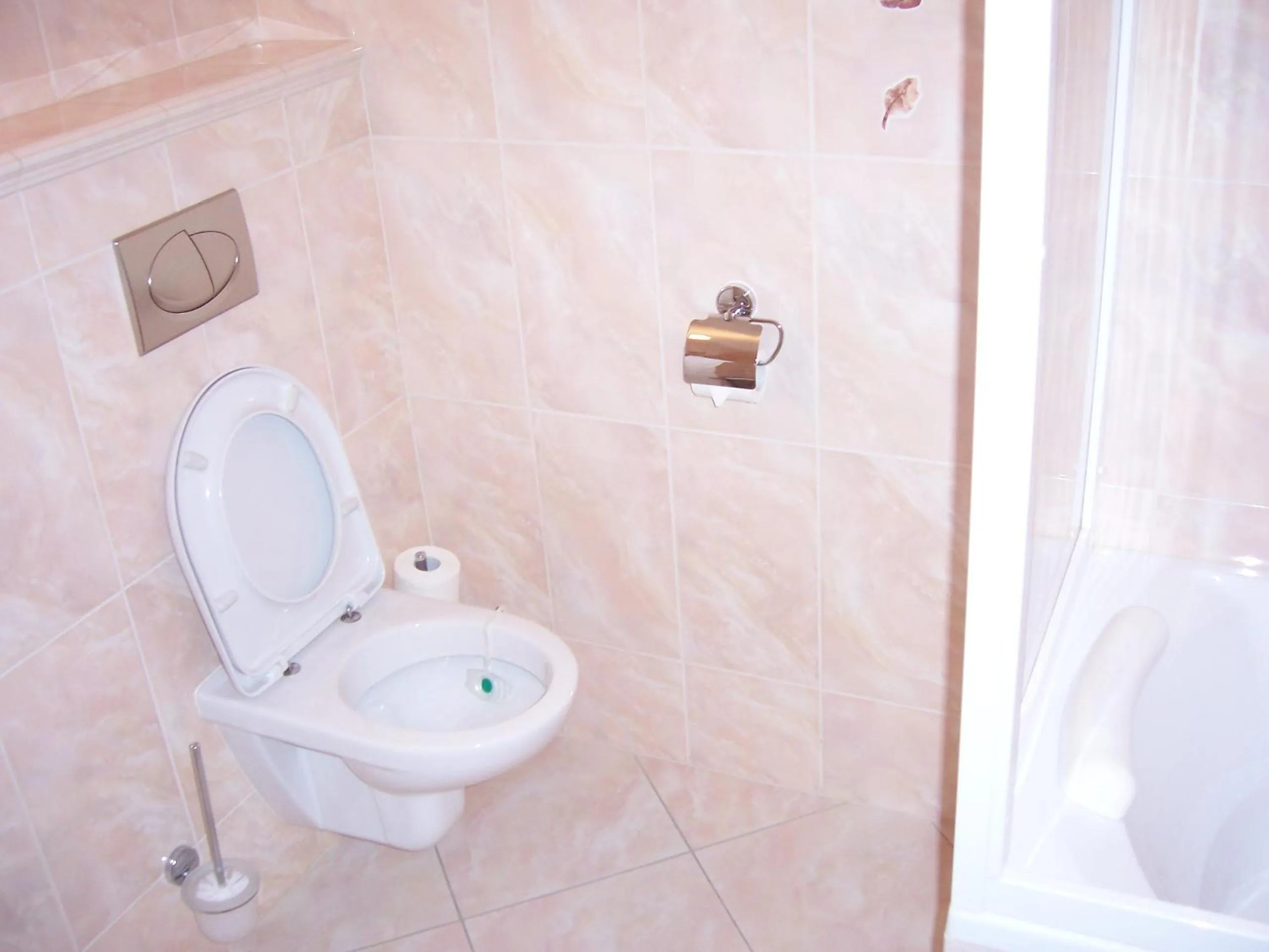 Toilet in Hotel Pegas Brno