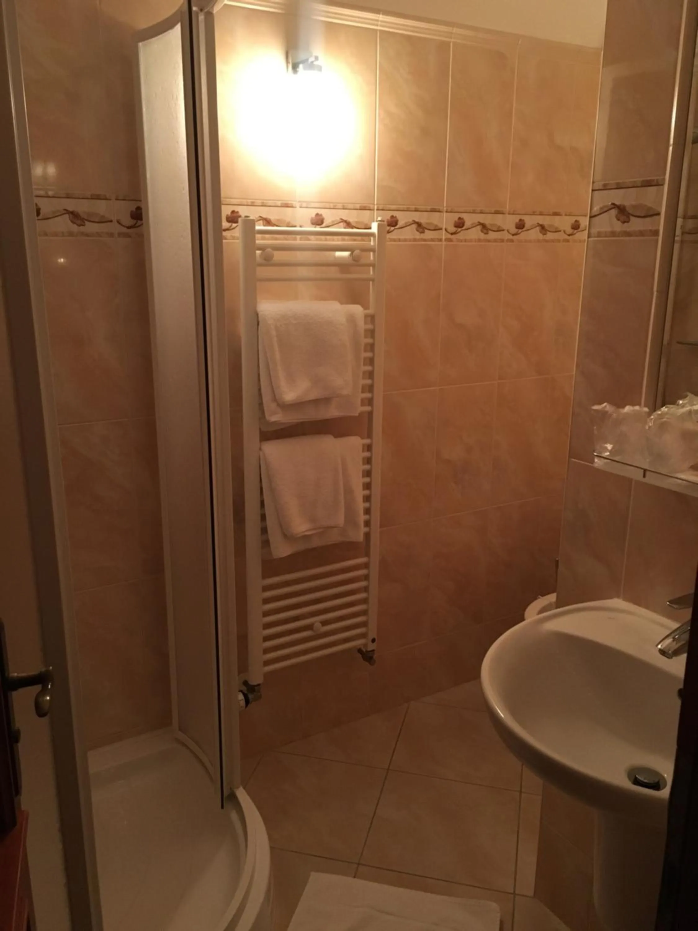 Bathroom in Hotel Pegas Brno