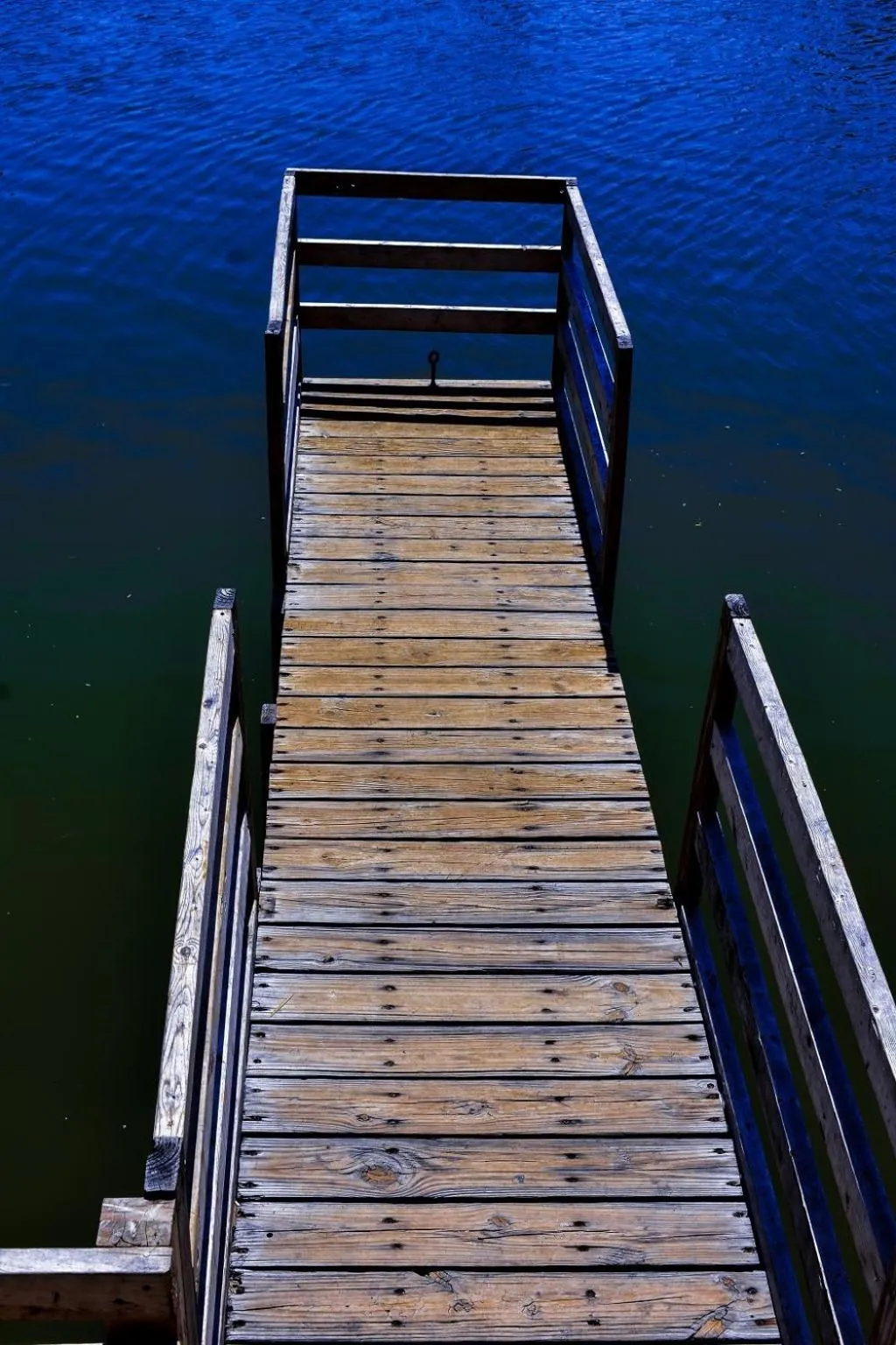 Fishing in Casa Bella Hotel and Suites