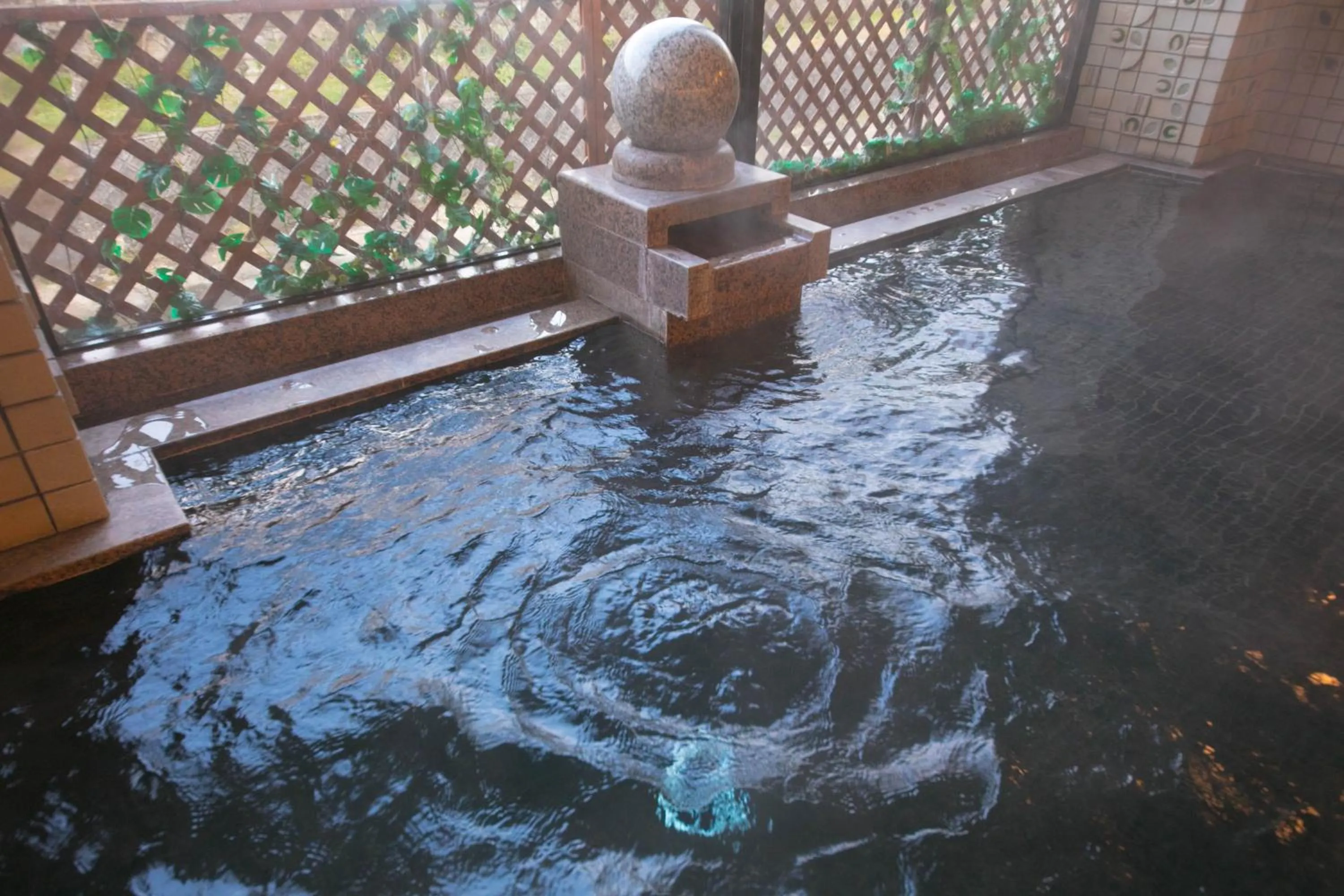 Public Bath in Ryokan Seishounagon