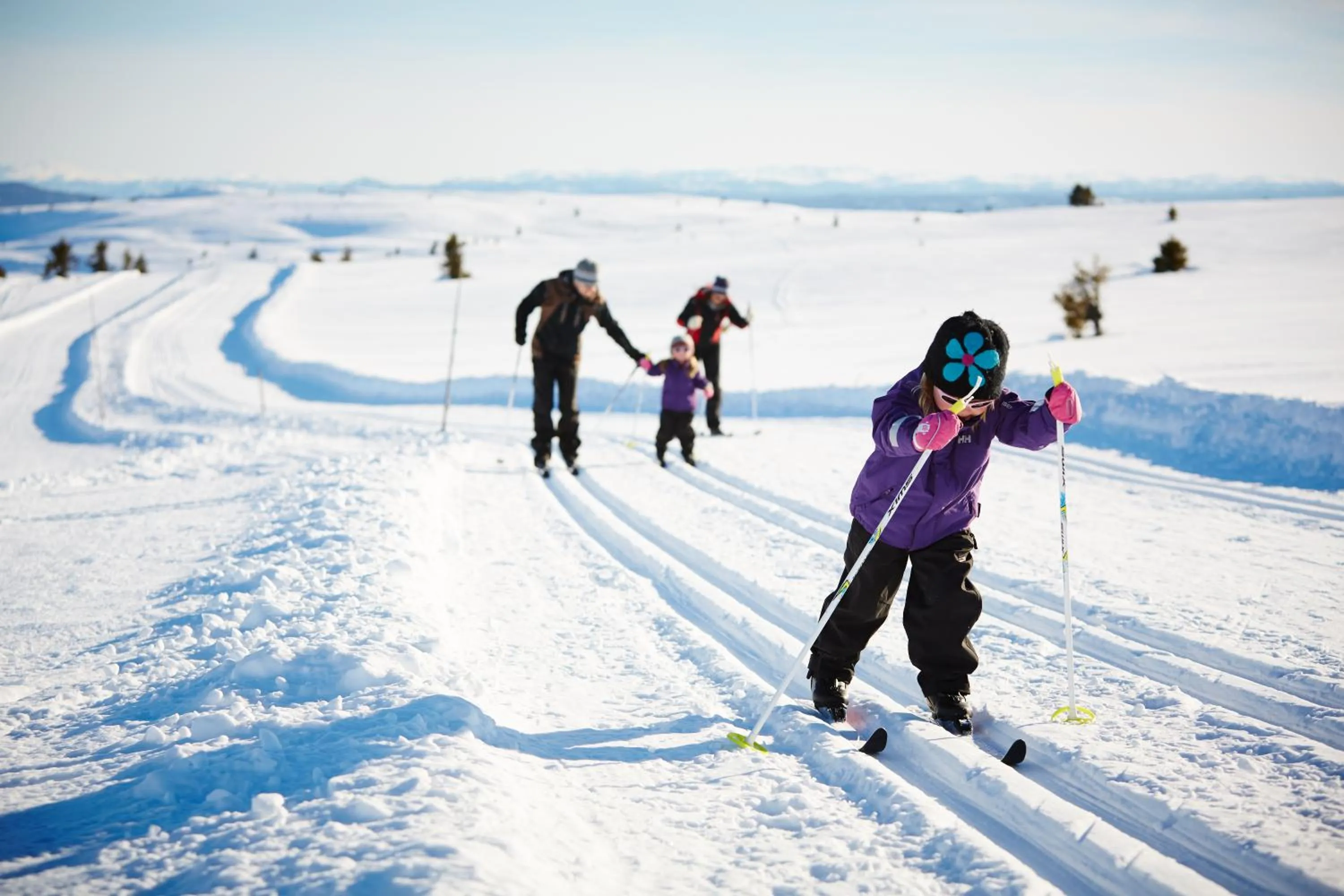 Natural landscape in Storefjell Resort