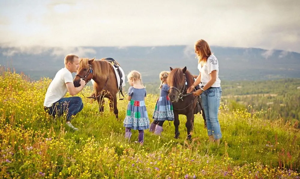 Horse-riding in Storefjell Resort