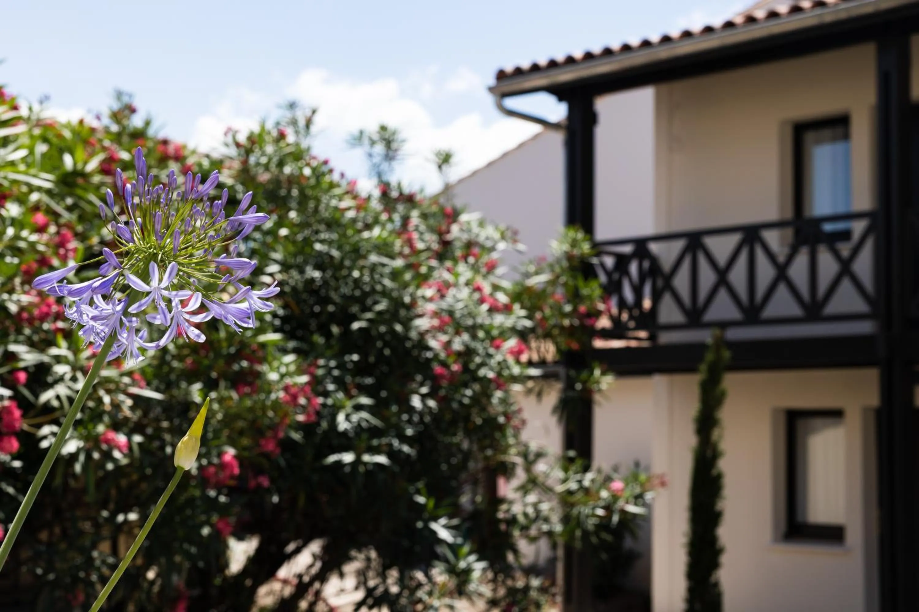 Garden in Best Western Premier Hotel des Vignes et des Anges