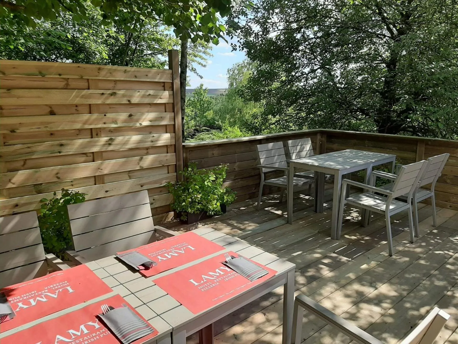 Balcony/Terrace in Hôtel Restaurant Lamy