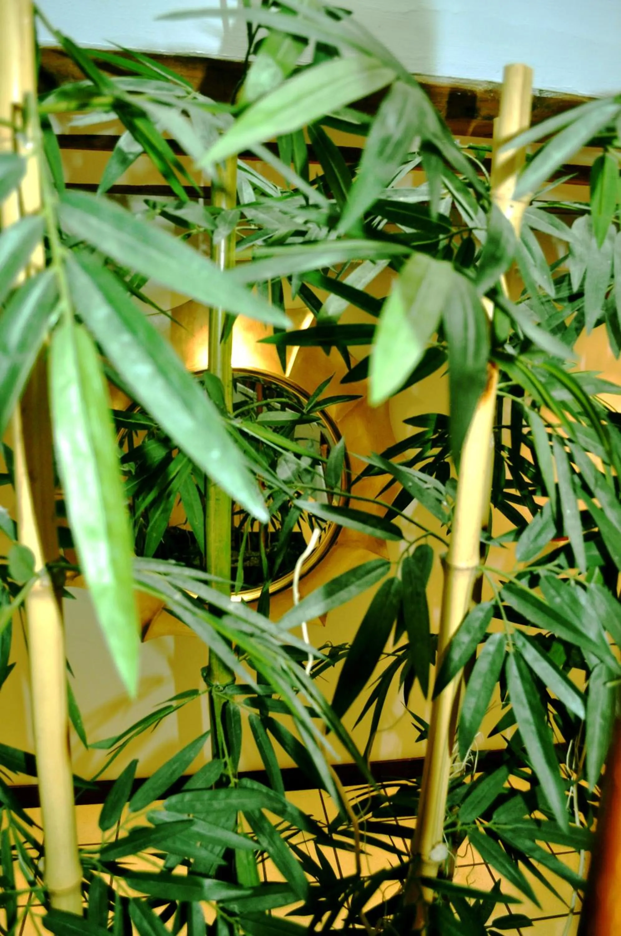 Other in El Molino de Floren