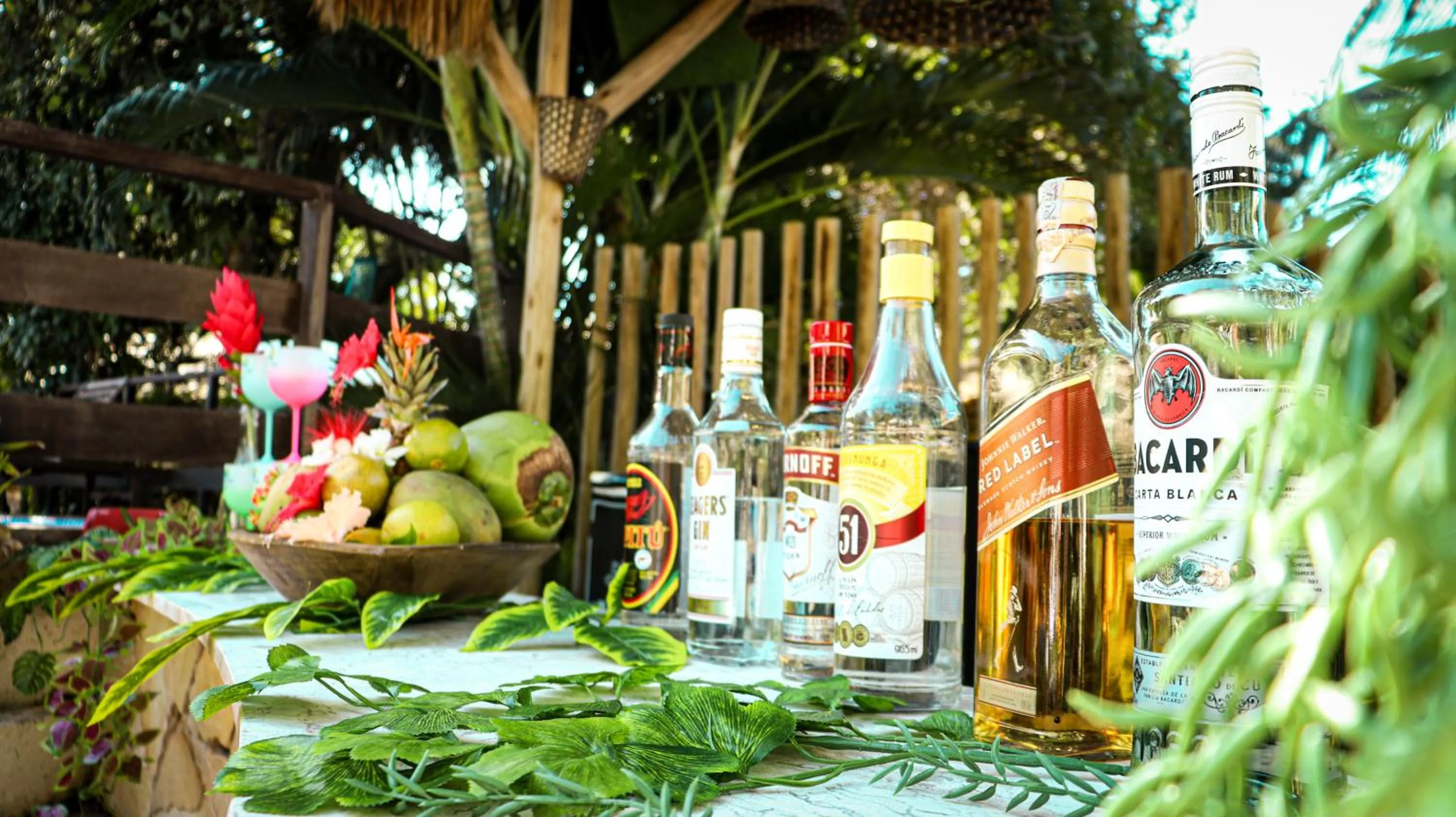 Lounge or bar in Brasil Tropical Village