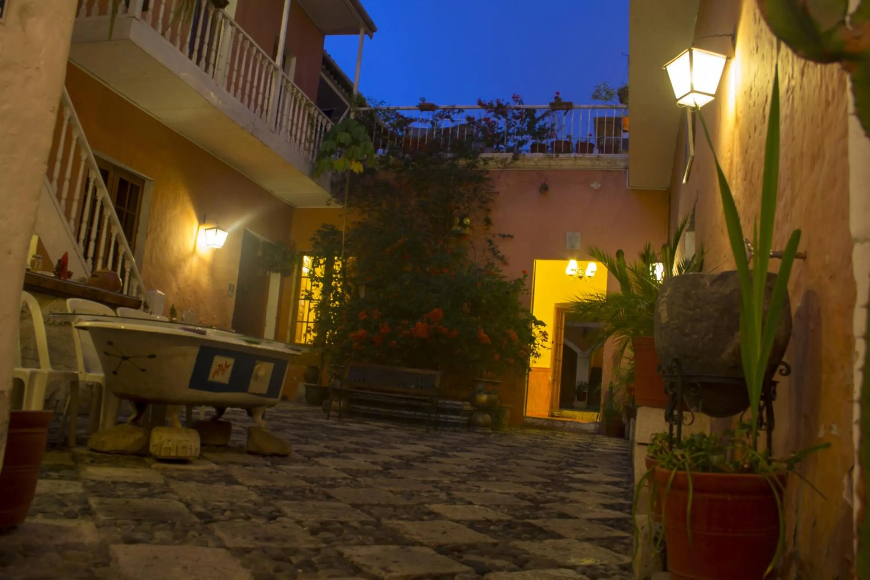 Garden in Posada Nueva España