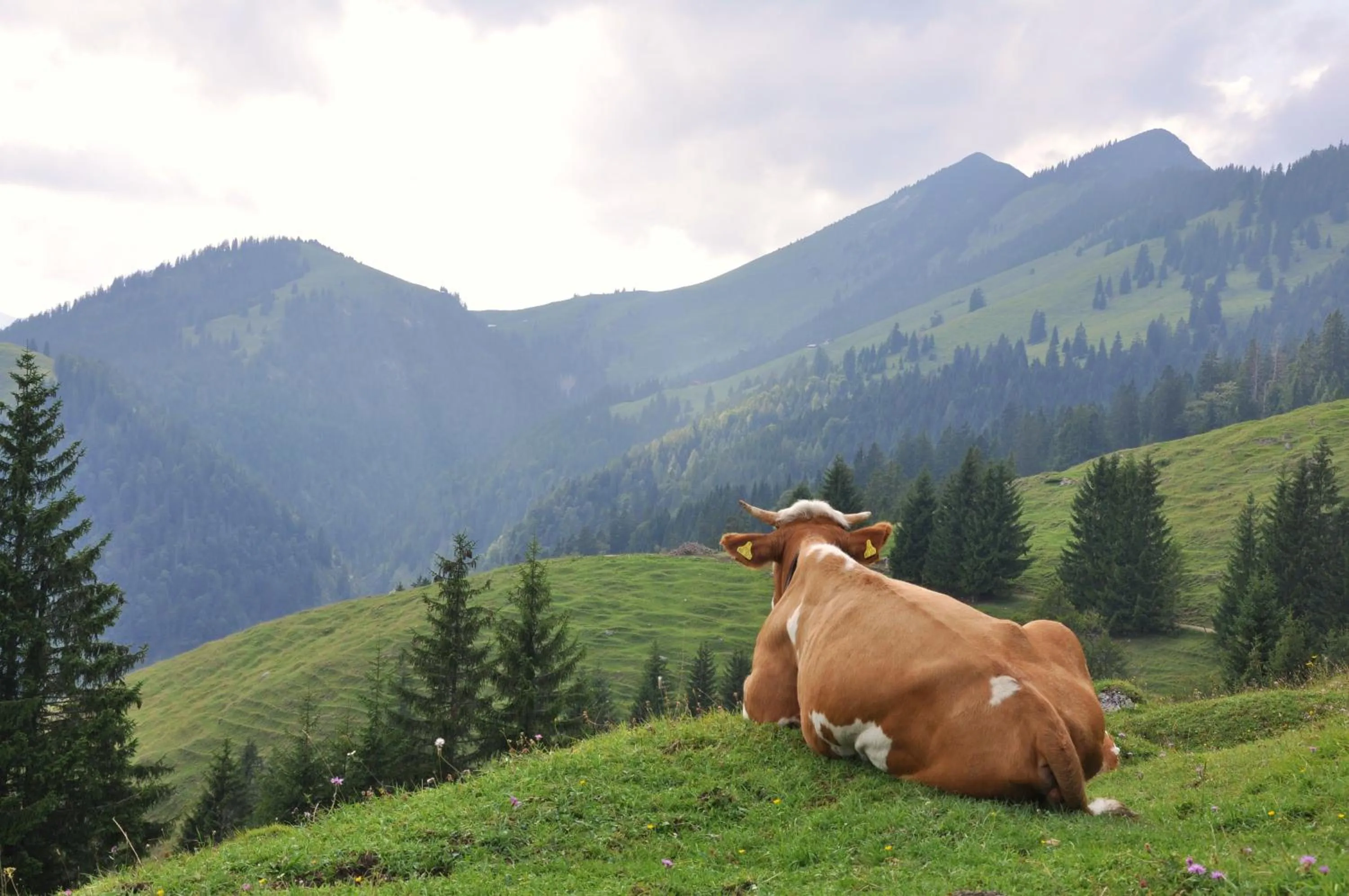 Property building in Hotel Keindl