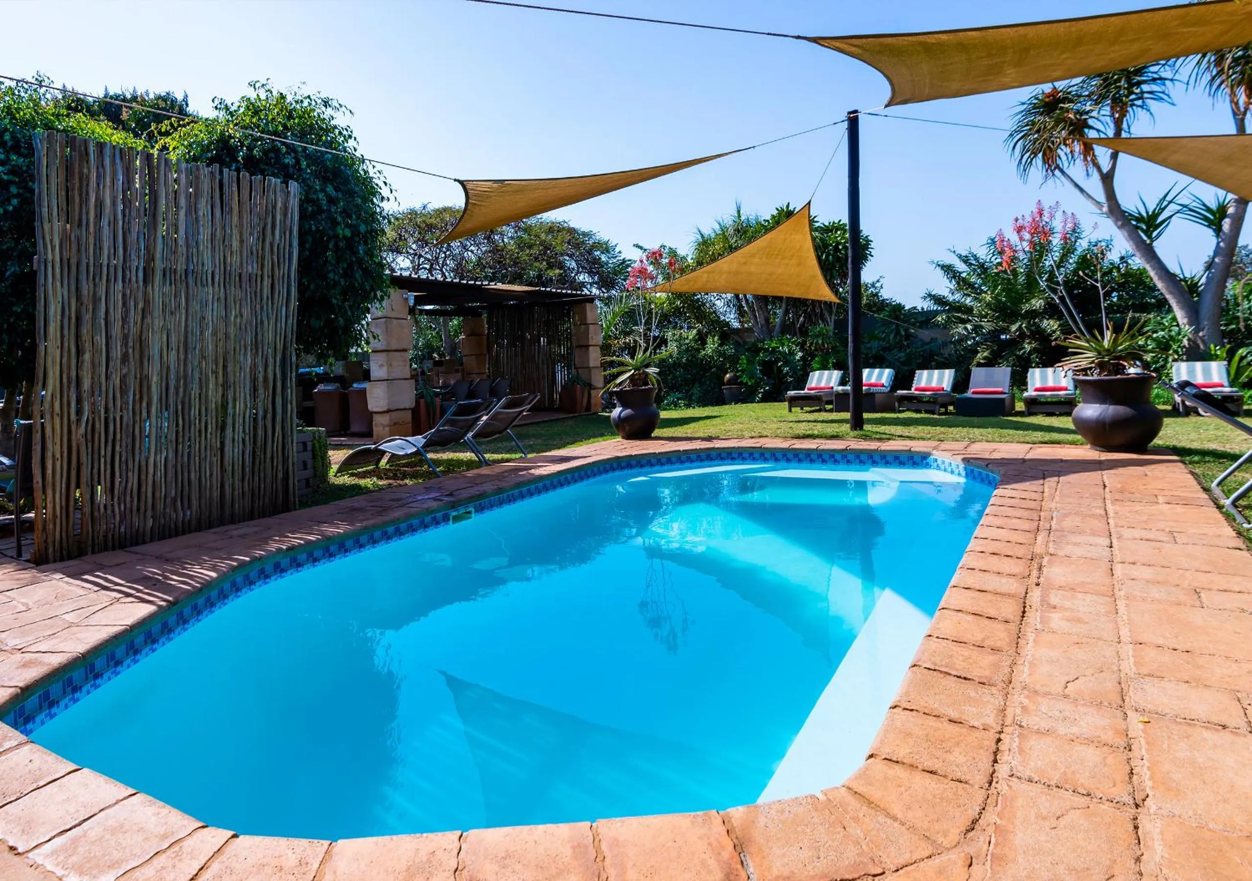 Garden view in Ama Zulu Guesthouse & Safaris