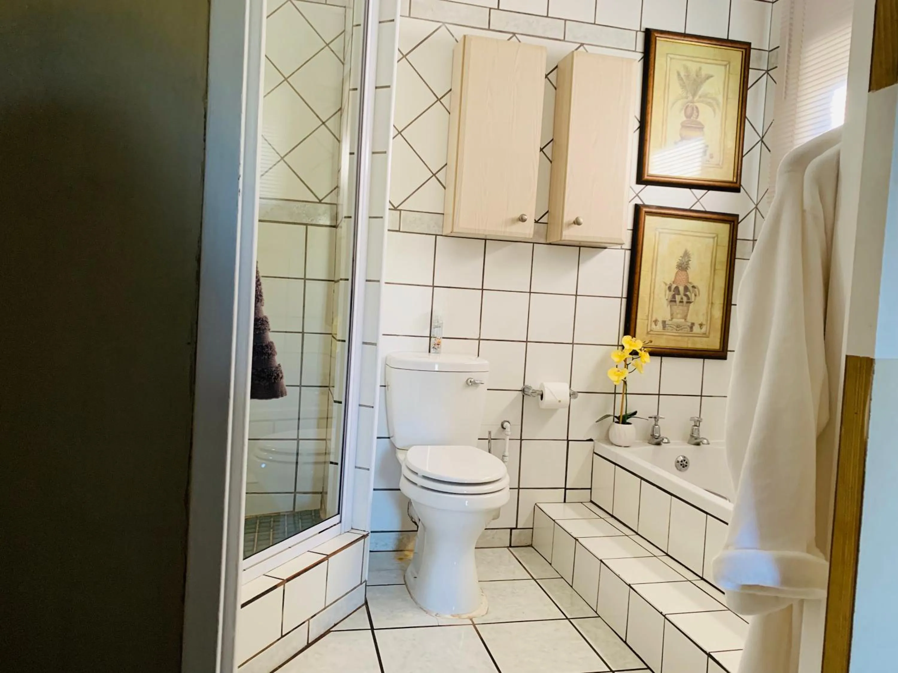 Shower in Ama Zulu Guesthouse & Safaris