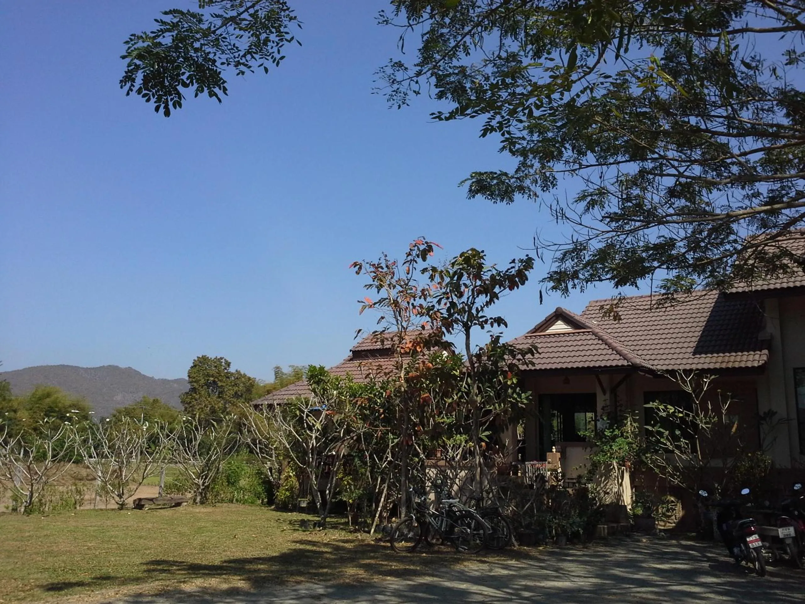 Garden in Jamjuree Garden