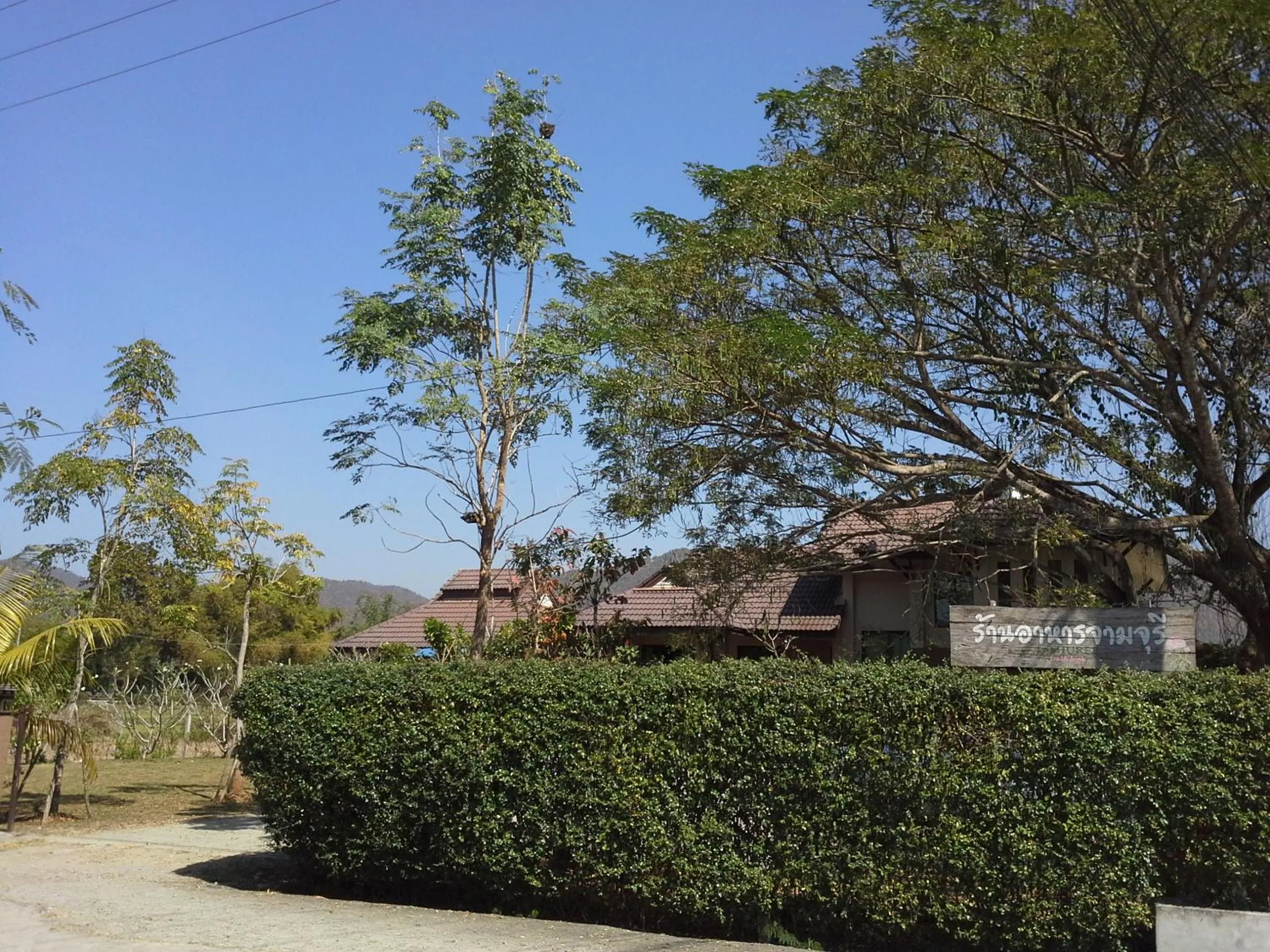 Garden in Jamjuree Garden